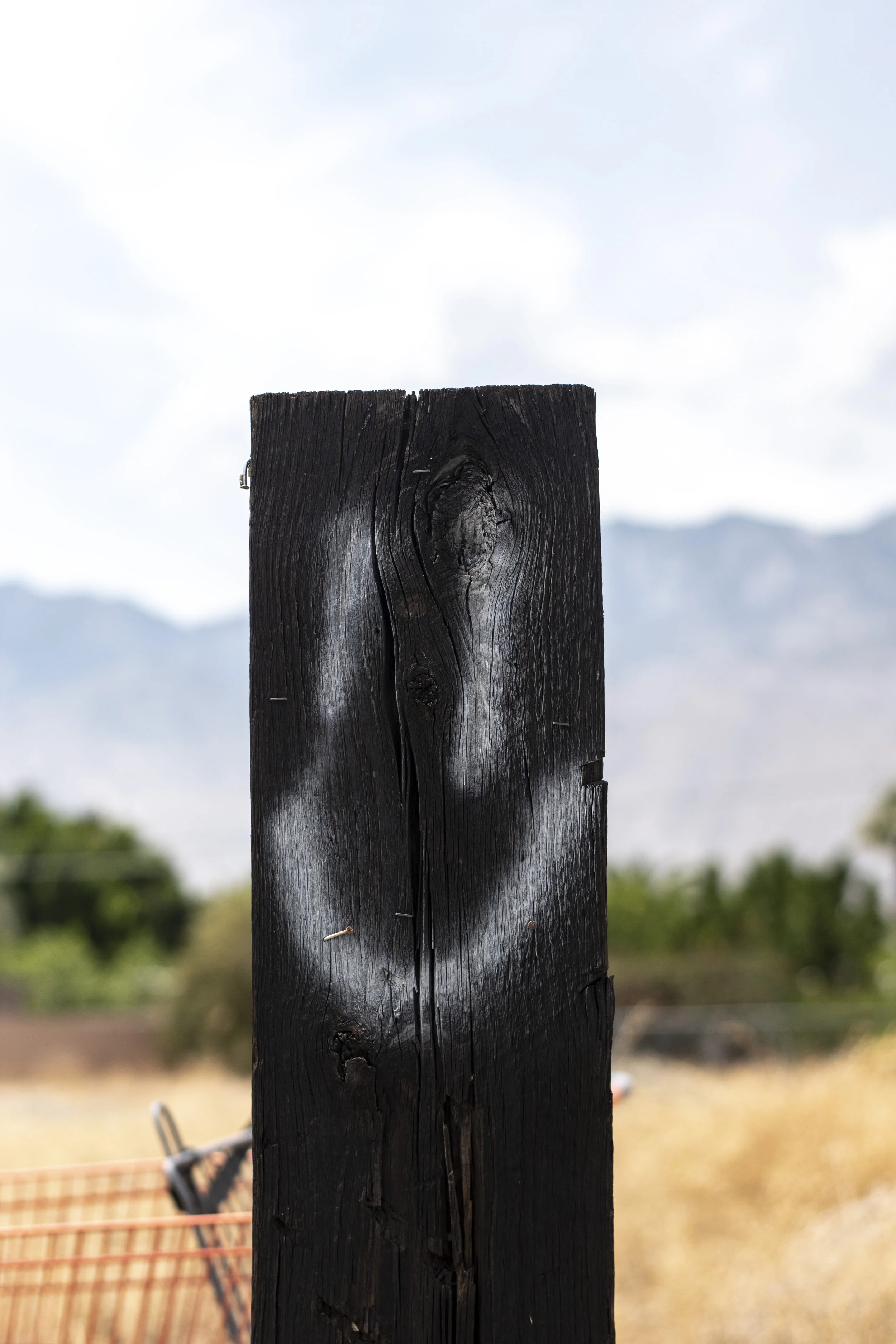 DSC_7918.jpg