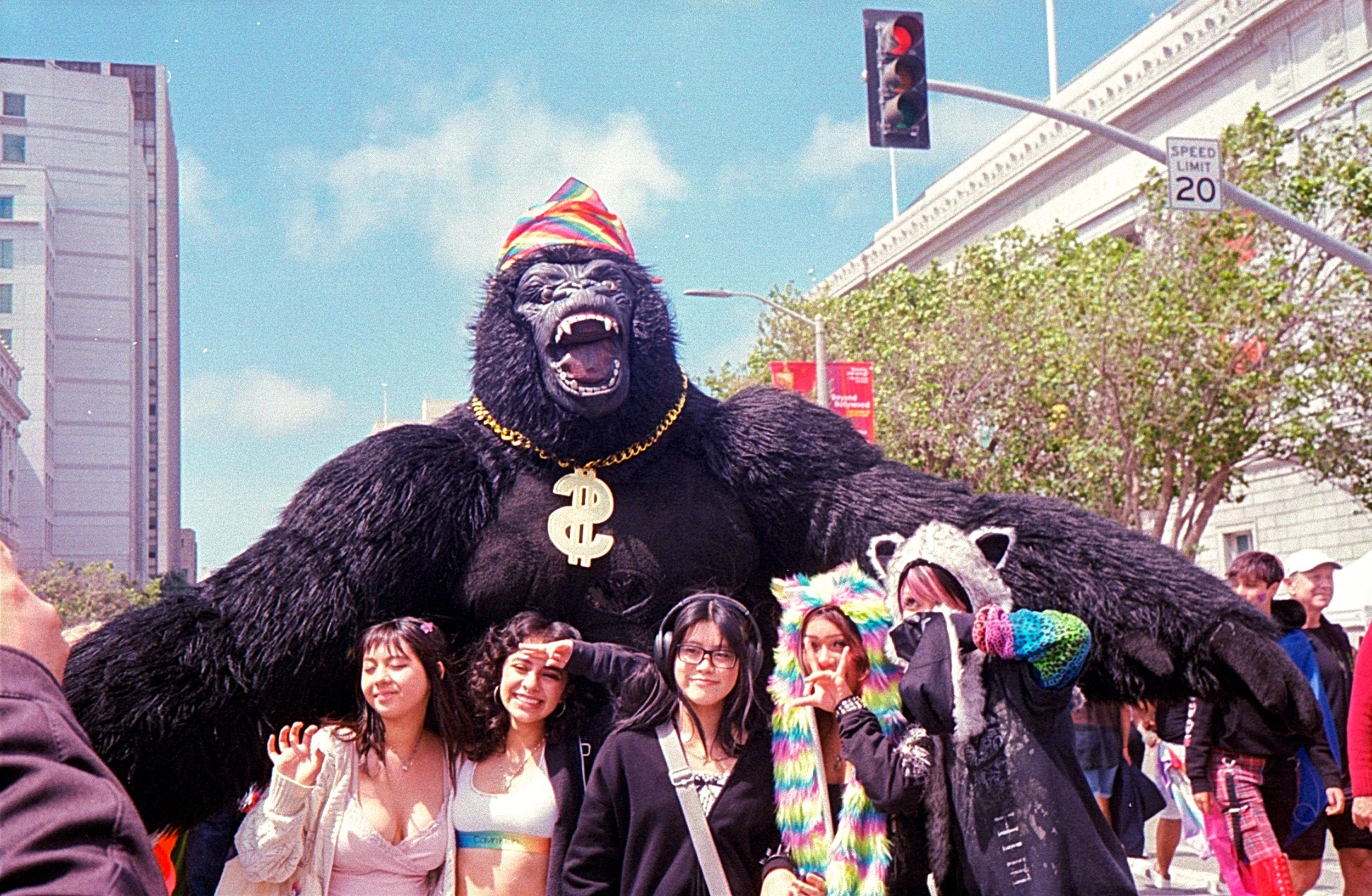 gorilla.jpg