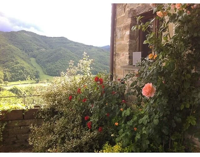 Happy Valentines Day to all you love birds out there! .

#italytravel #travel #wishyouwerehere #italianatours #italy #loves_italia #italygram #italytravel #italy_photolovers #awesomedreamplaces #living_europe #wonderfuldestinations #bbctravel #travel
