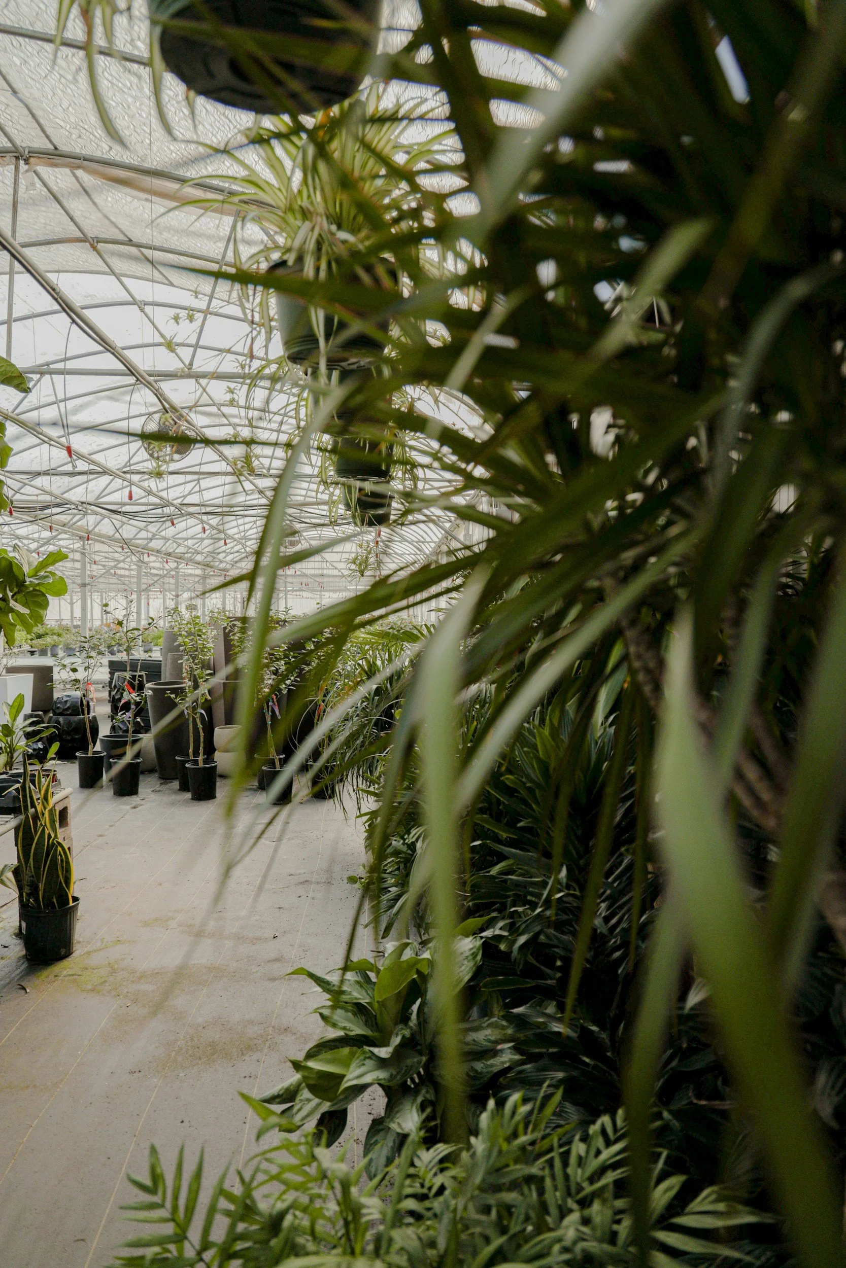 After 58 Years, Poughkeepsie's New Corn Crib Greenhouse Is Closing