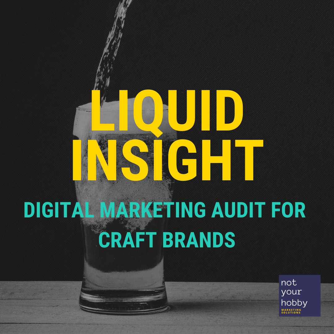 Liquid Insight - Digital Marketing Audit