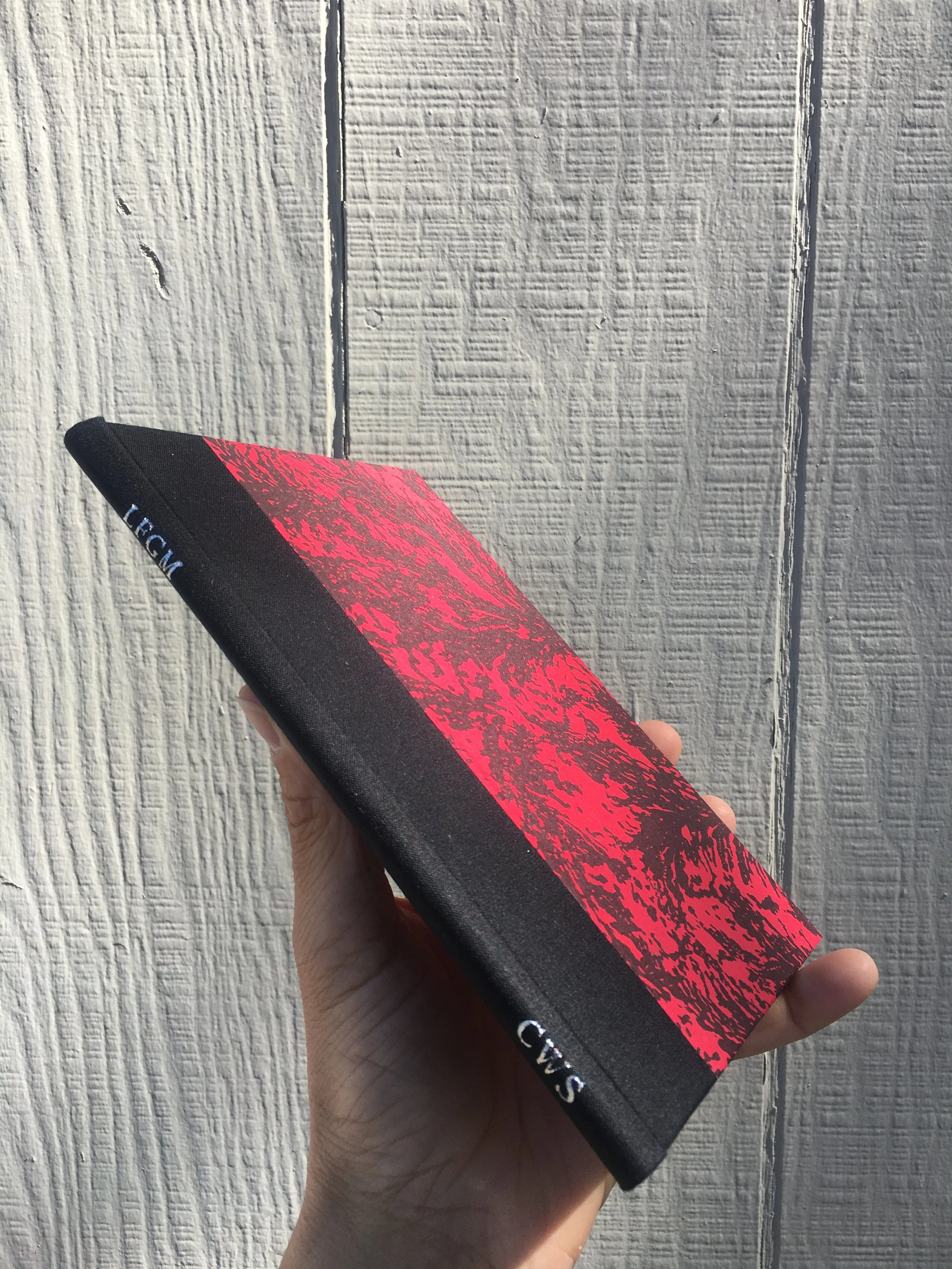  Spine titling in silver-leaf 