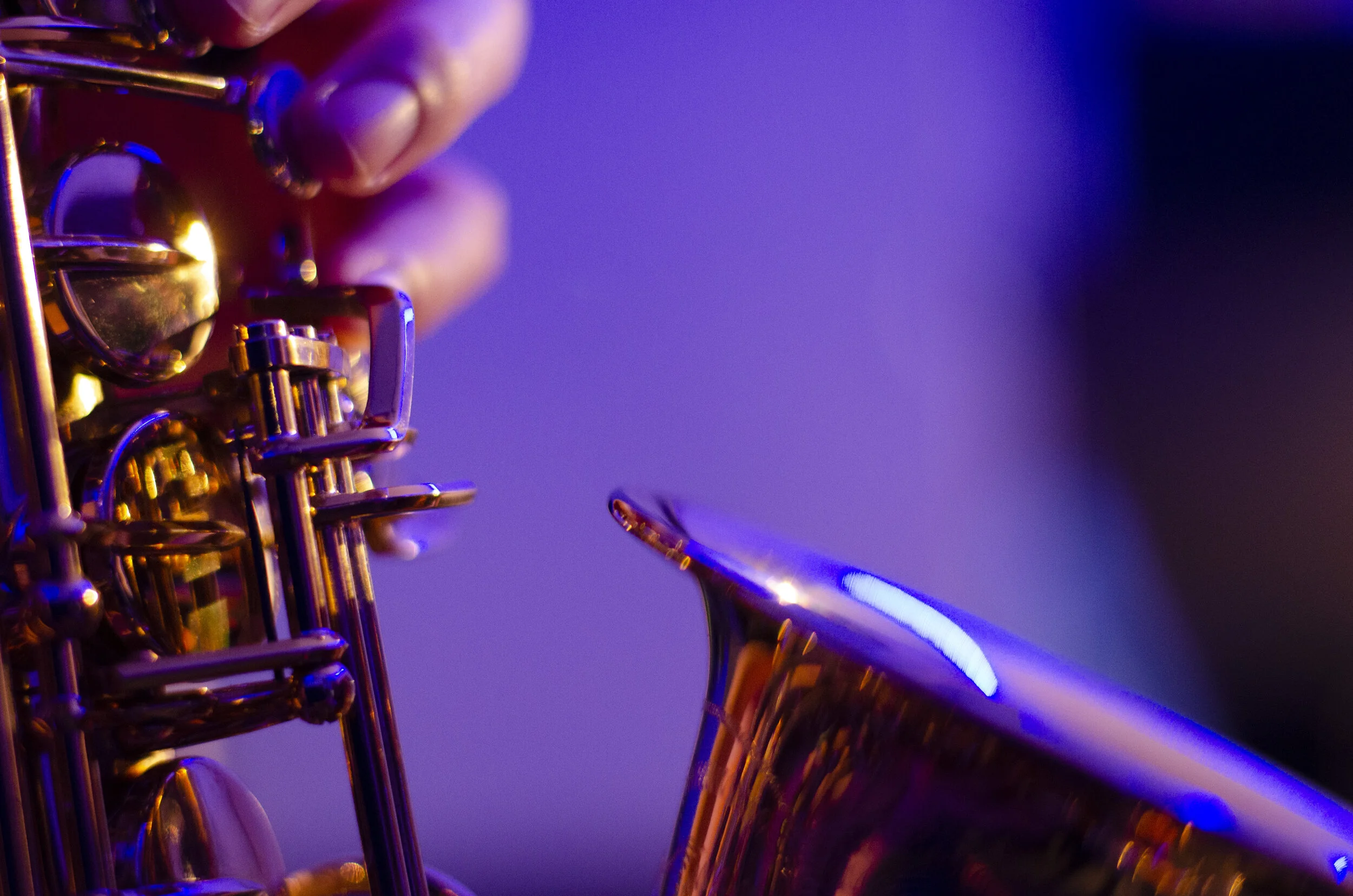 listen, tender [these are teeth]