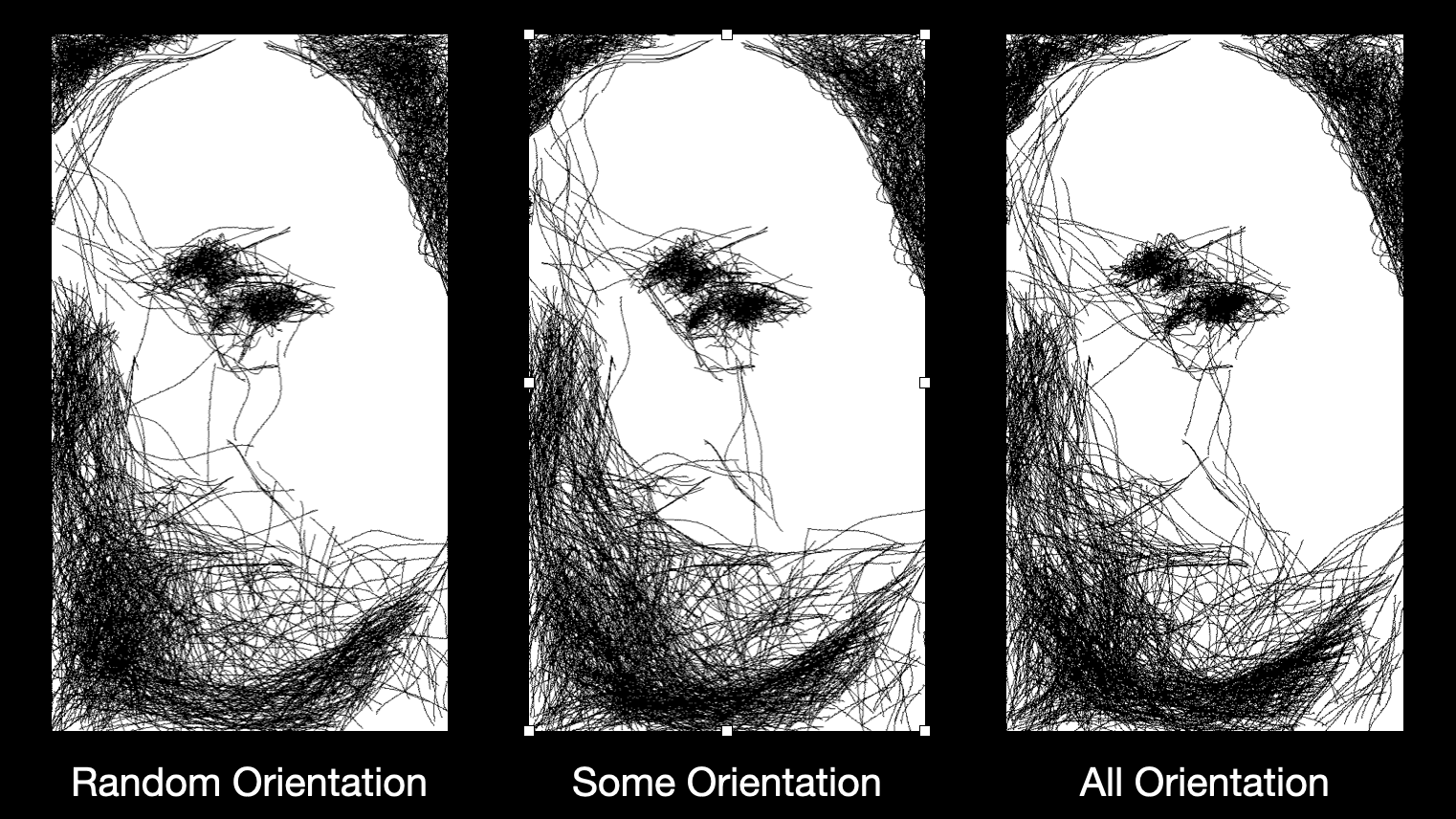 Orienting some, but not lines created the sketch-like look.