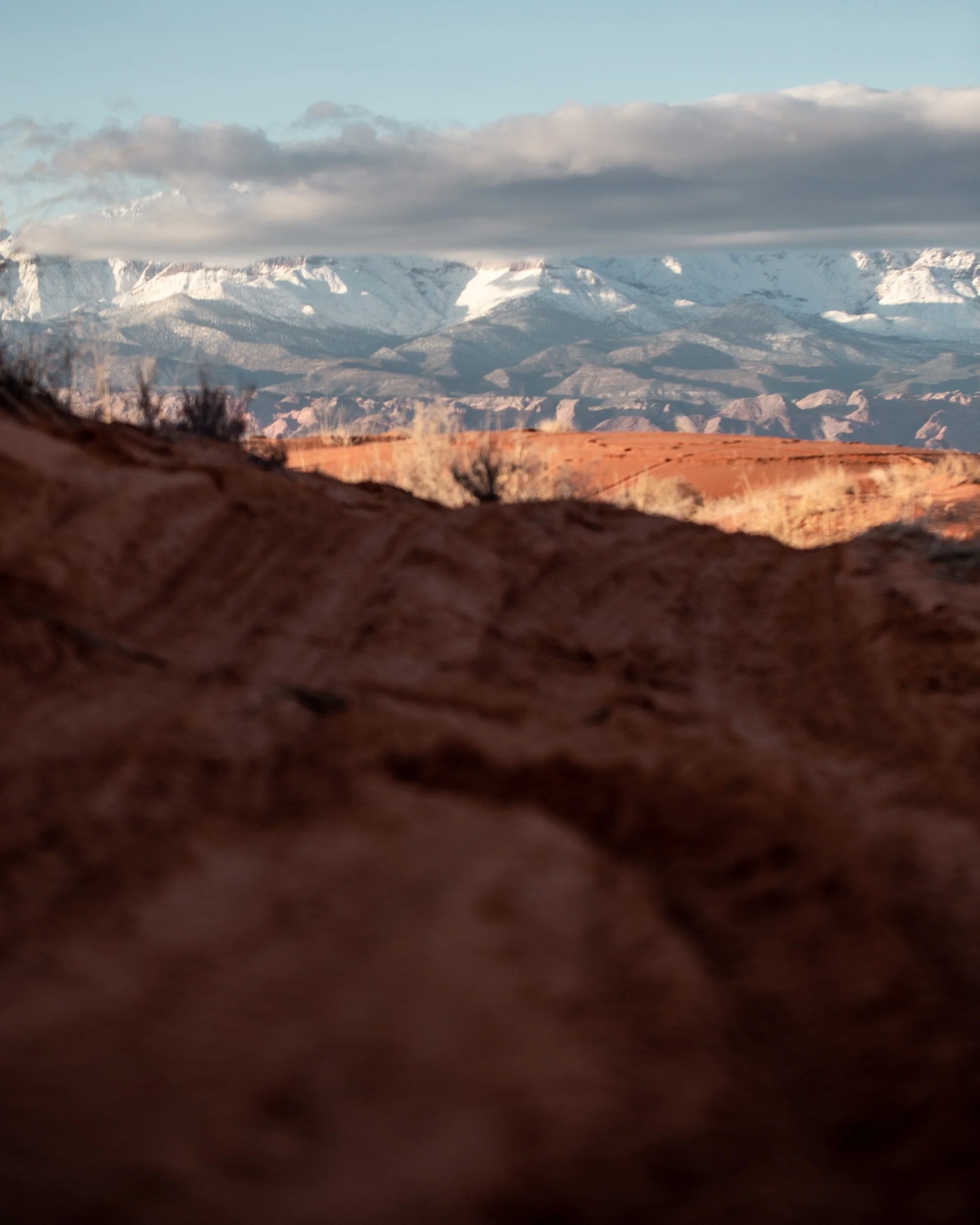 3A664E29-F169-4360-B179-50CB5EAB4A33.jpeg
