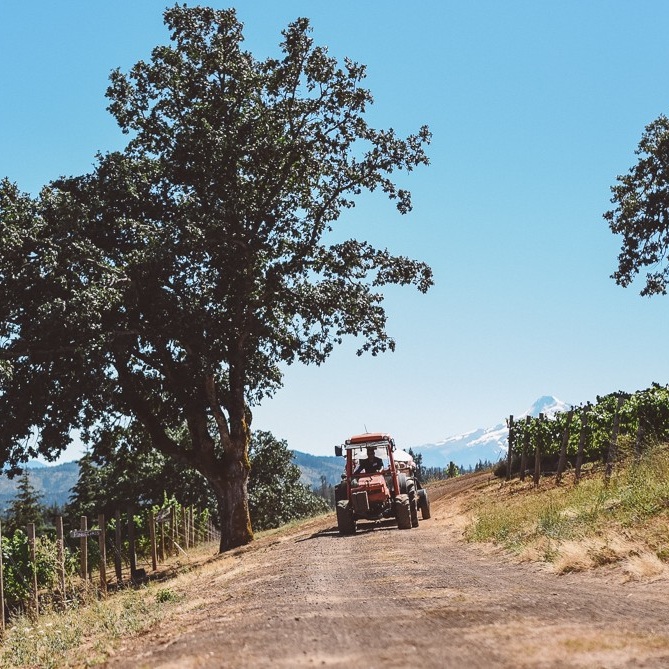 Phelps Creek Vineyards Tractor (2).jpg