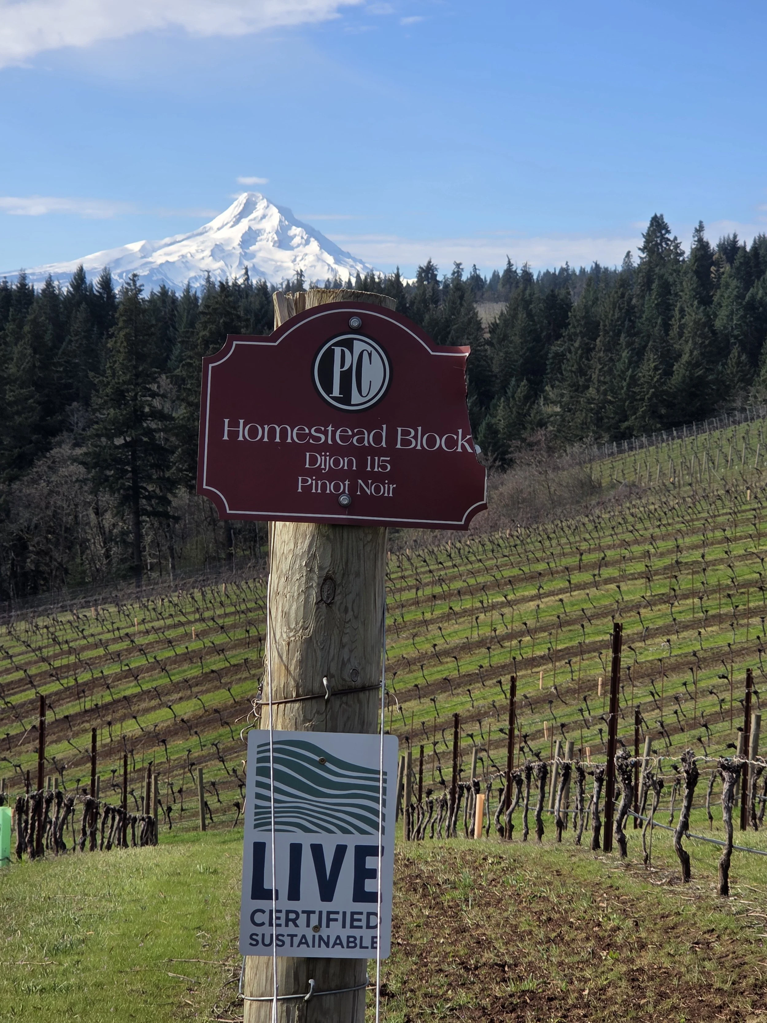 Spring at Phelps Creek