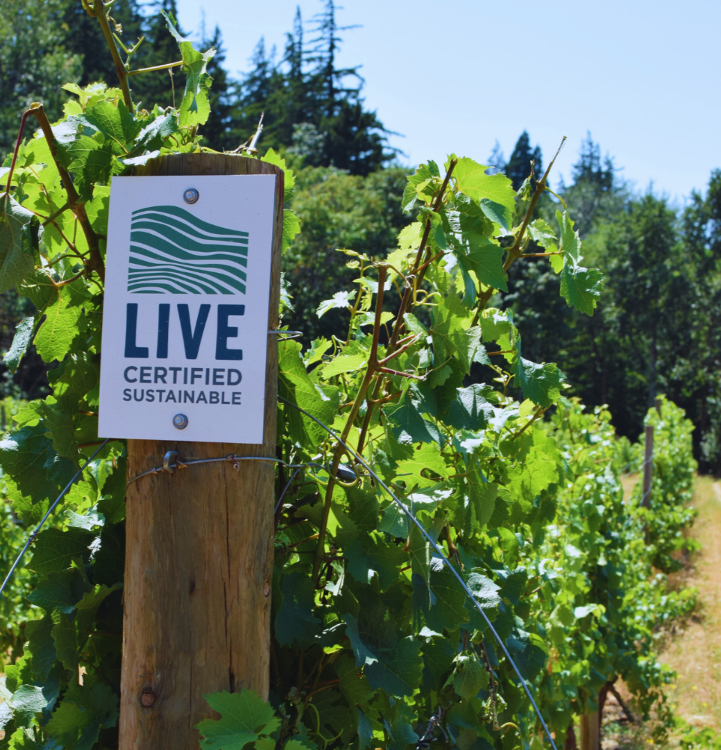 Sustainability, LIVE, Earth-Day