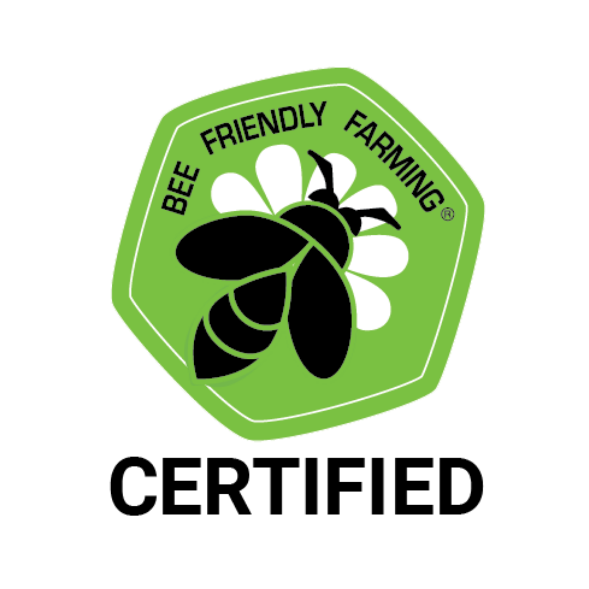 Untitled design (21).png