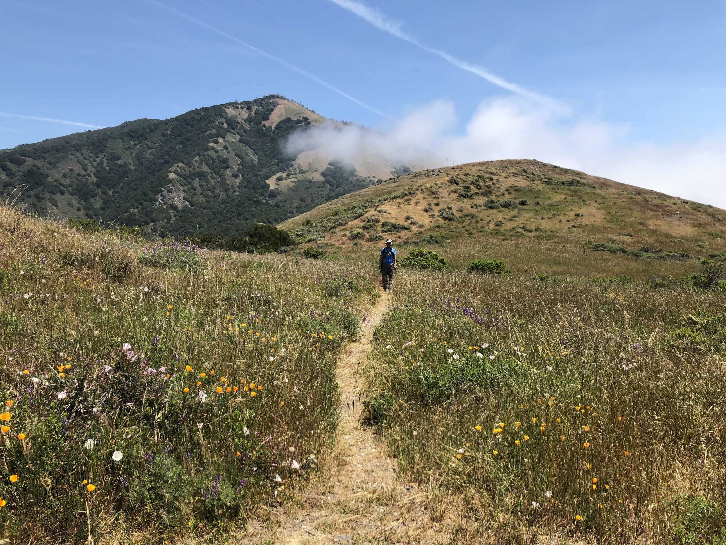 Hiking in Big Sur