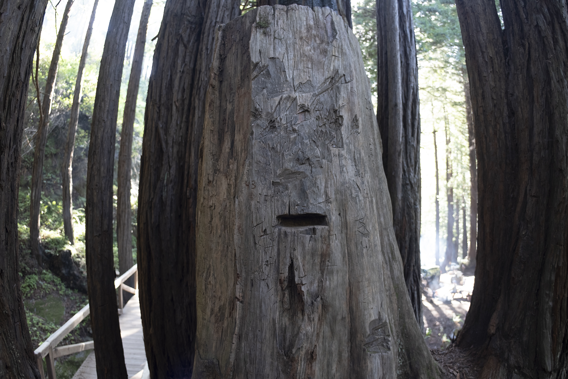 BigSur_HIKE_v07s.jpg