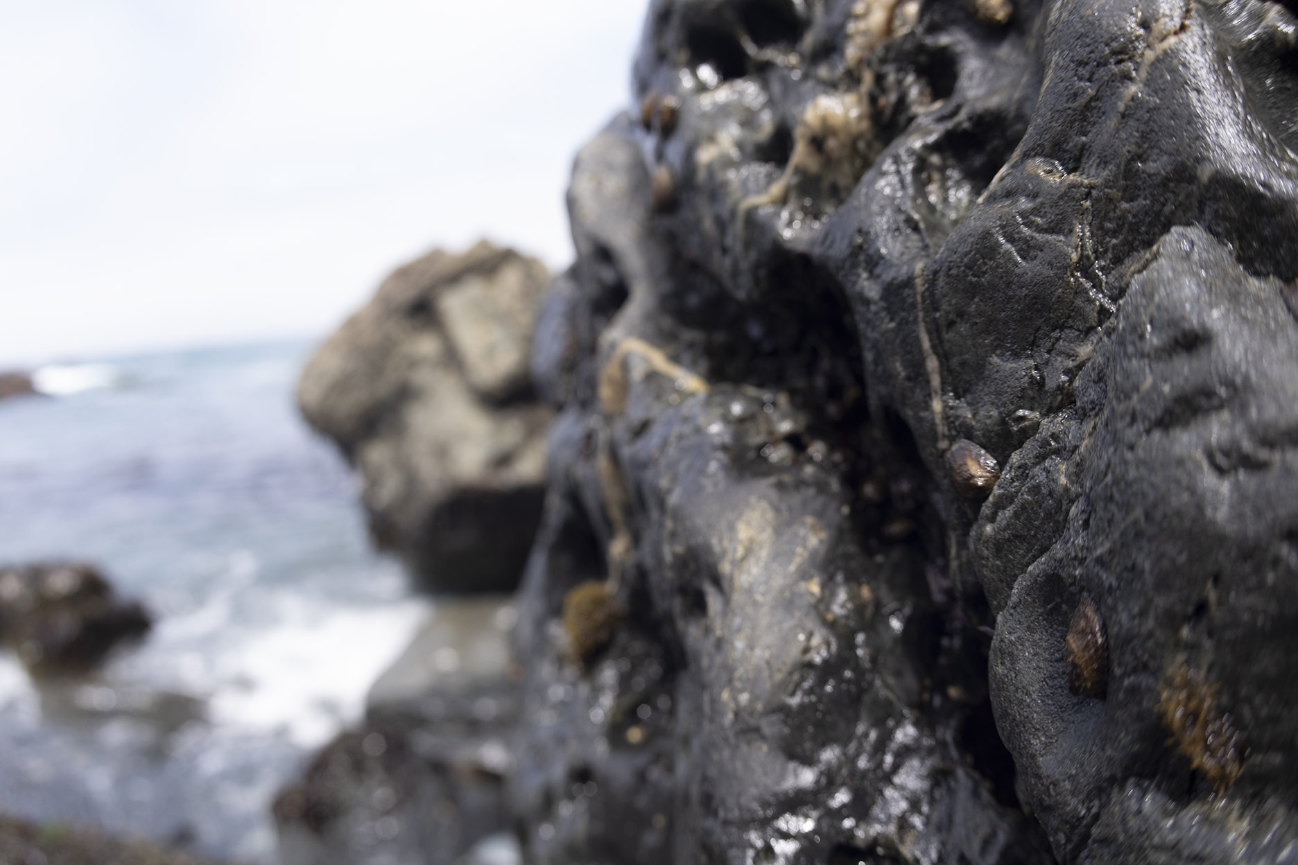 BigSur_Rocks_v01s.jpg