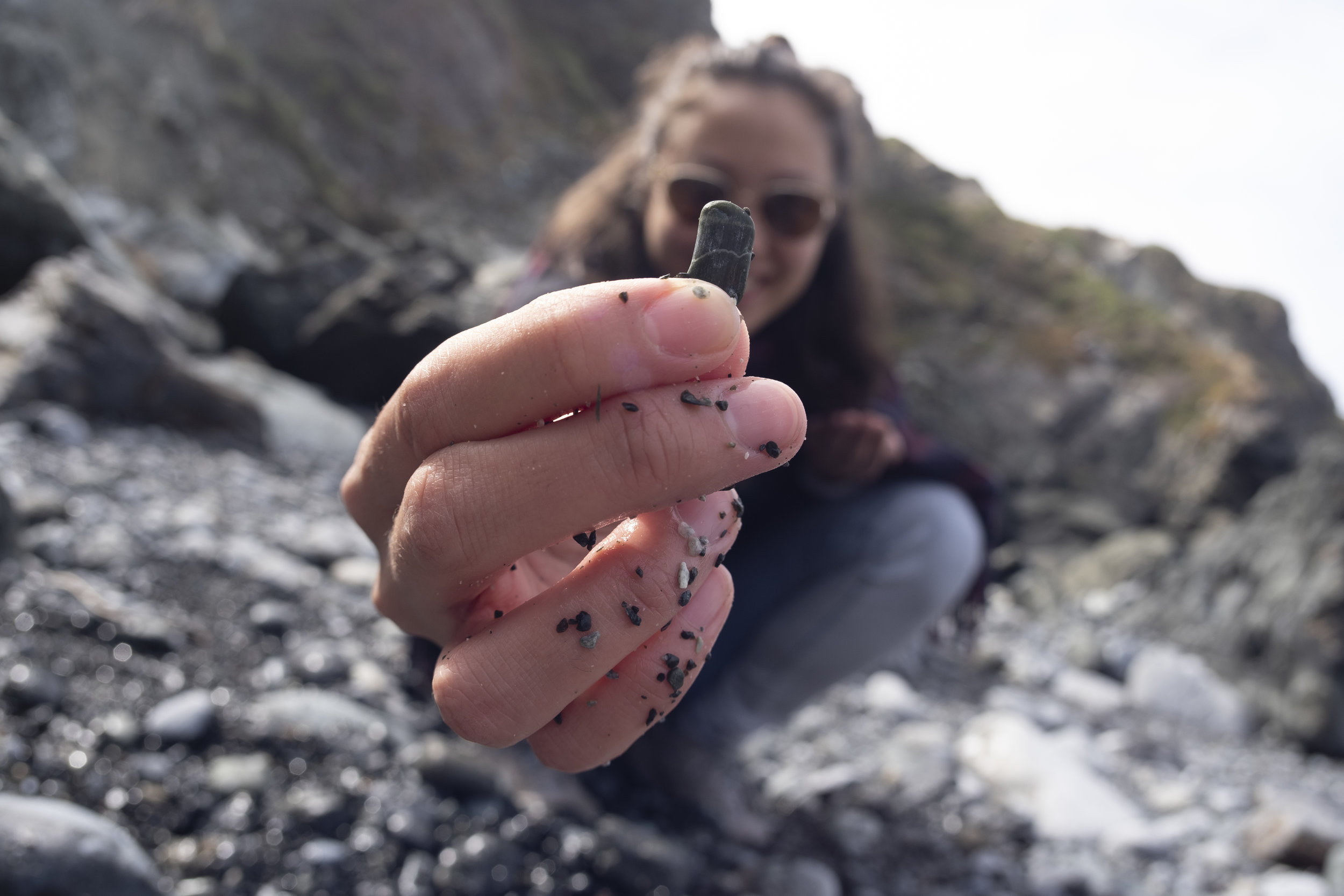BigSur_Rocks_Erica_v01.jpg