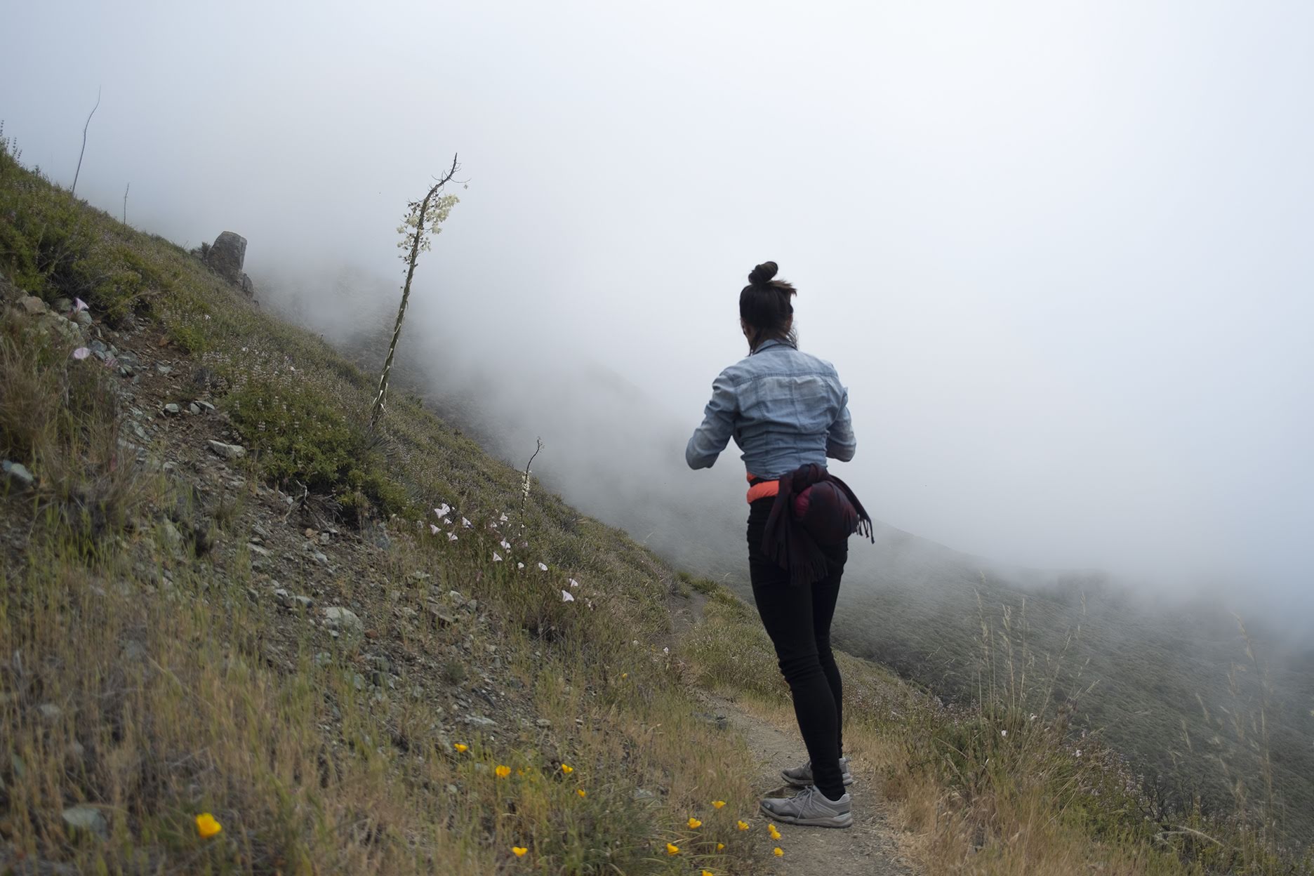 BigSur_HIKE_Erica_v12s.jpg