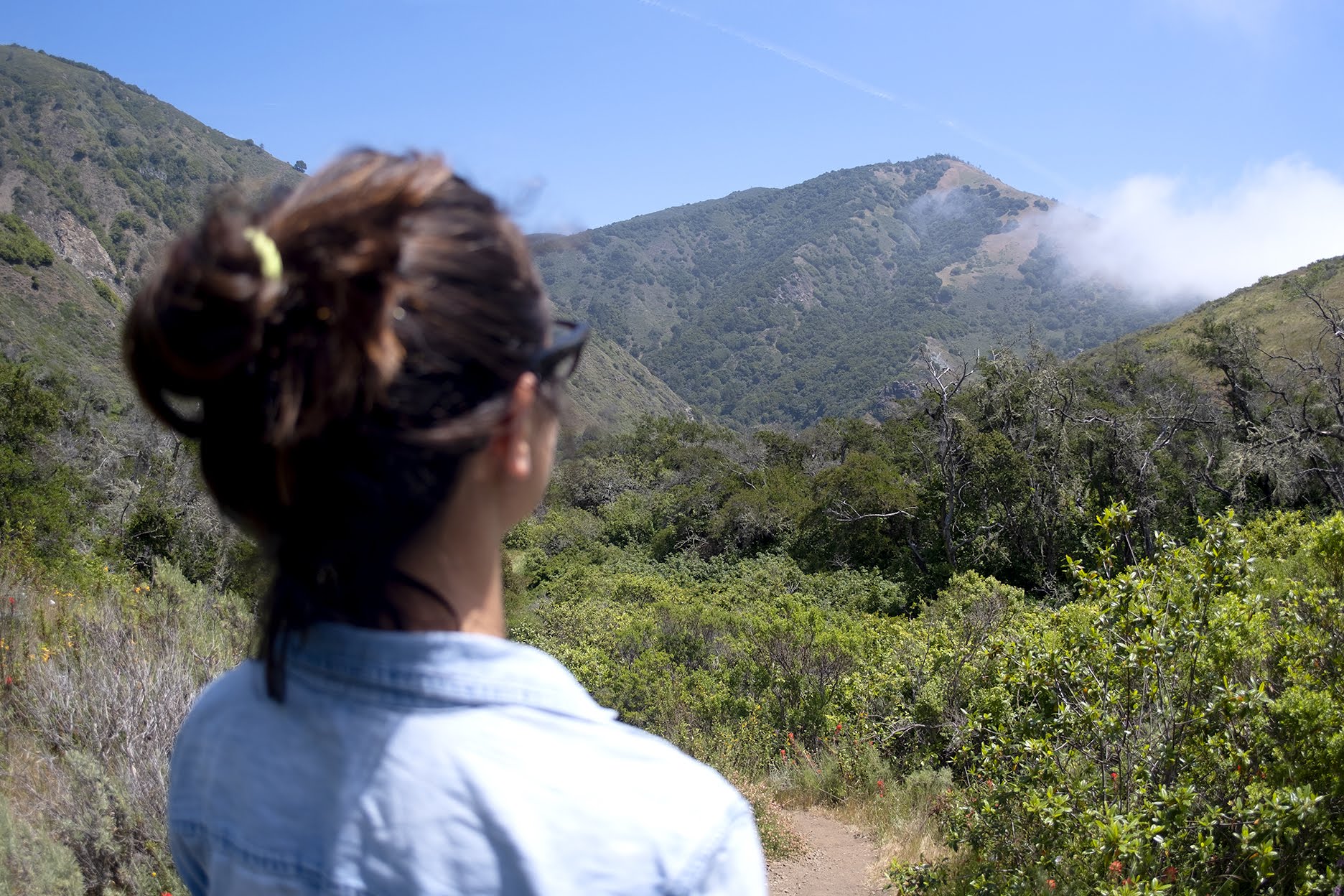 BigSur_HIKE_Erica_v06s.jpg