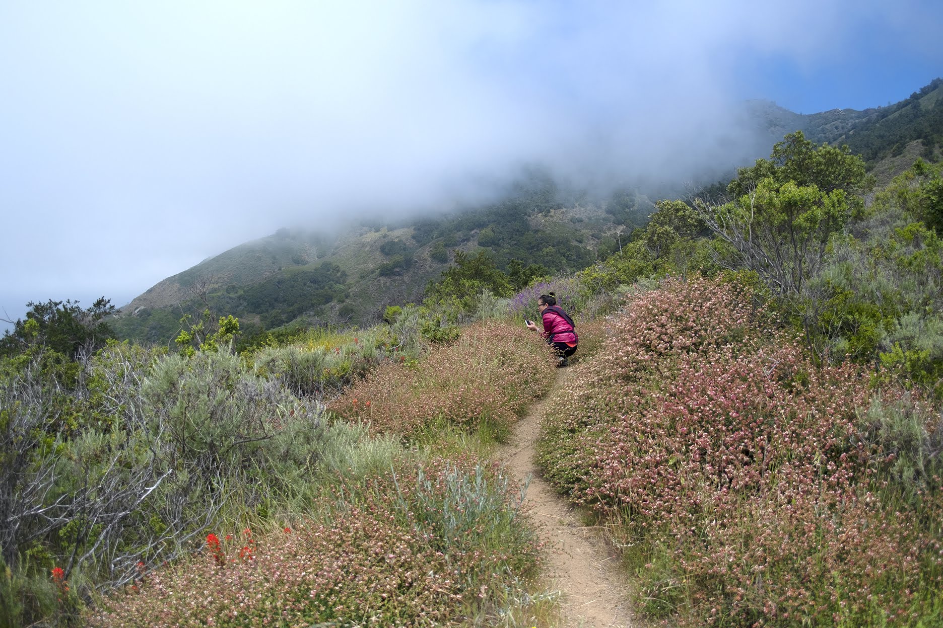 BigSur_HIKE_Erica_v08s.jpg