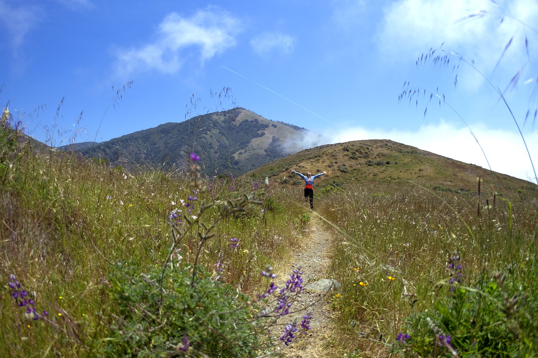 BigSur_HIKE_Erica_v10s.jpg