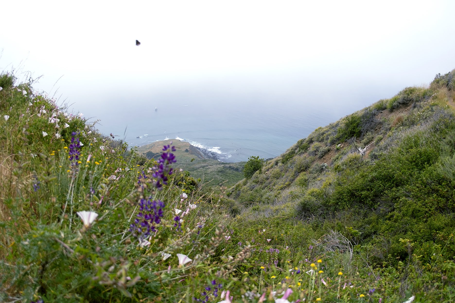 BigSur_HIKE_v02s.jpg