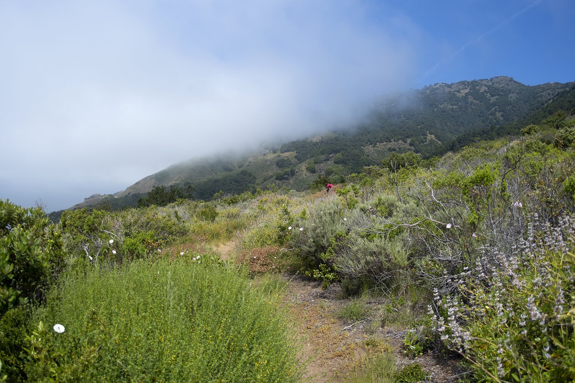 BigSur_HIKE_v04s.jpg