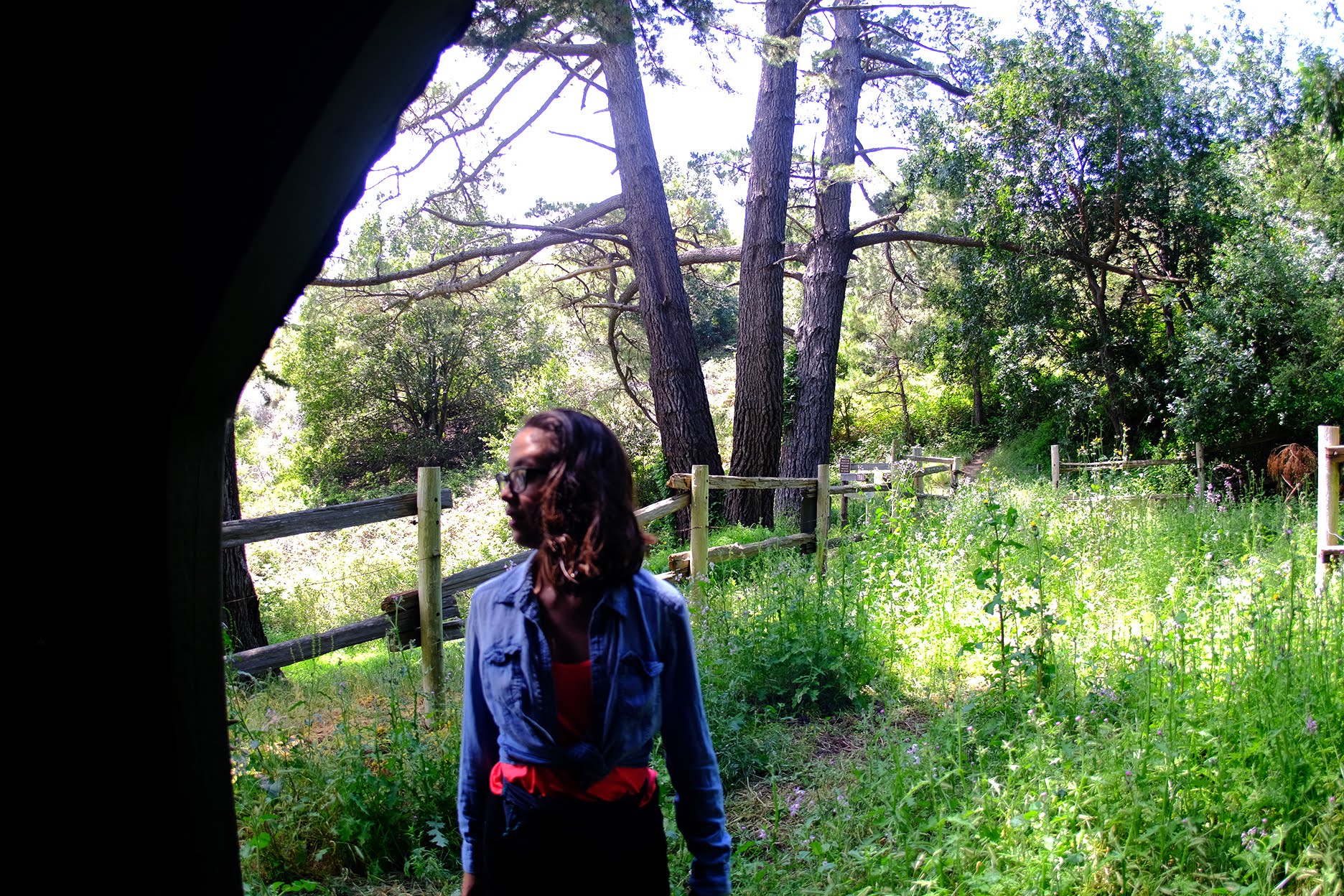 BigSur_HIKE_v05s.jpg