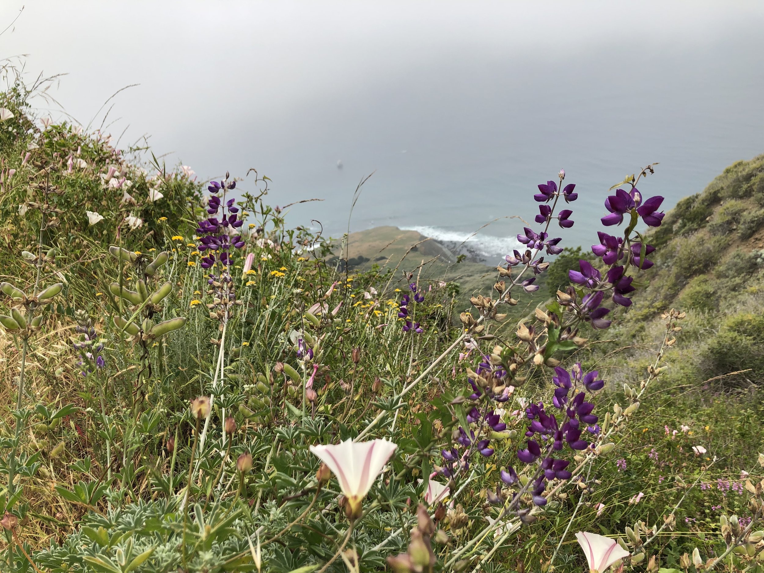 BigSur_HIKE_v09s.jpg