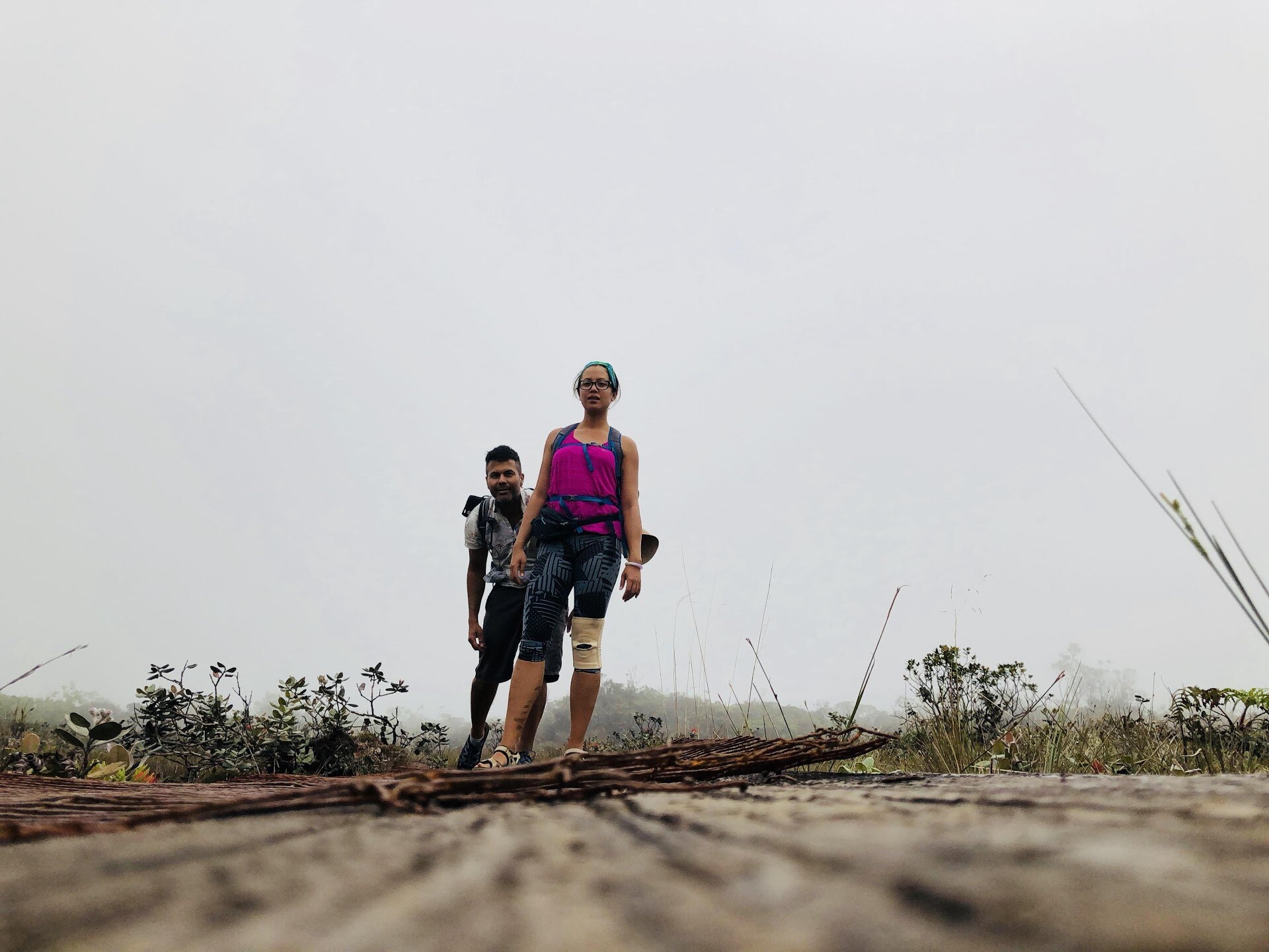 Hiking the Alakai Swamp Trail