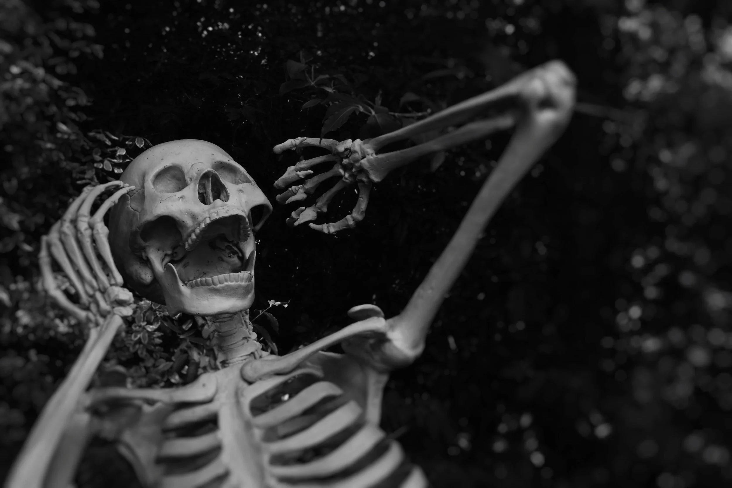 25 Fun and Scary Halloween Facts to Trick (or Treat) Your Friends