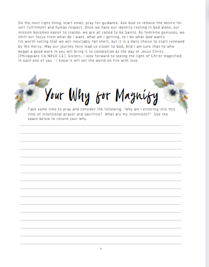 Magnify 90 workbook pages PRINTABLE — Magnify