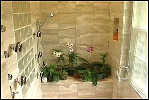 Brownstone Renovation