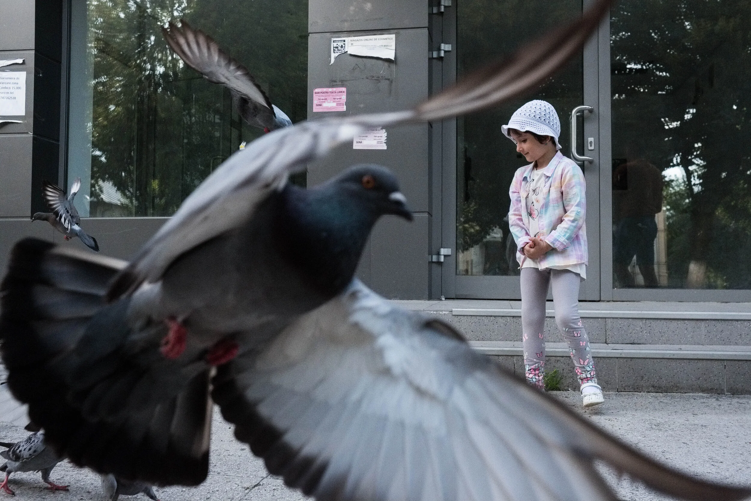 Quelque part en Transylvanie (2018)