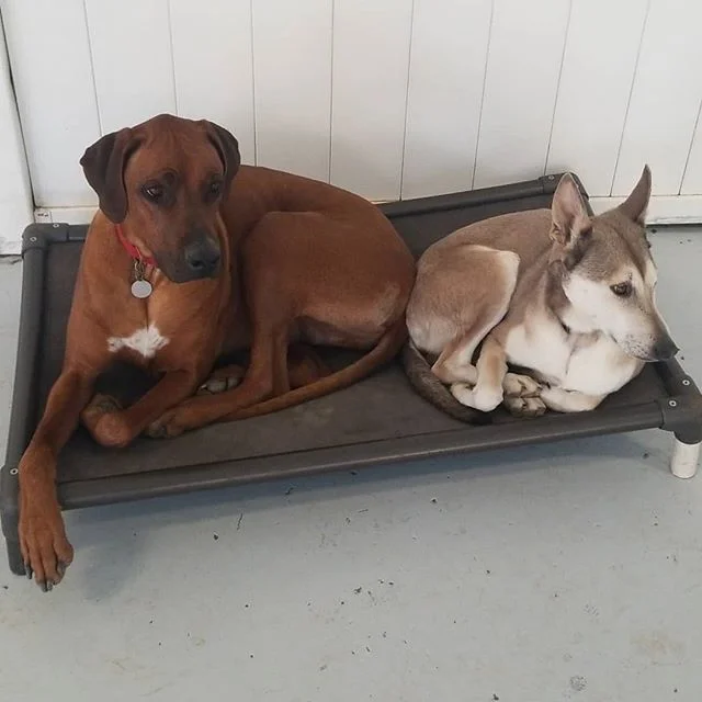 2cuties.jpg