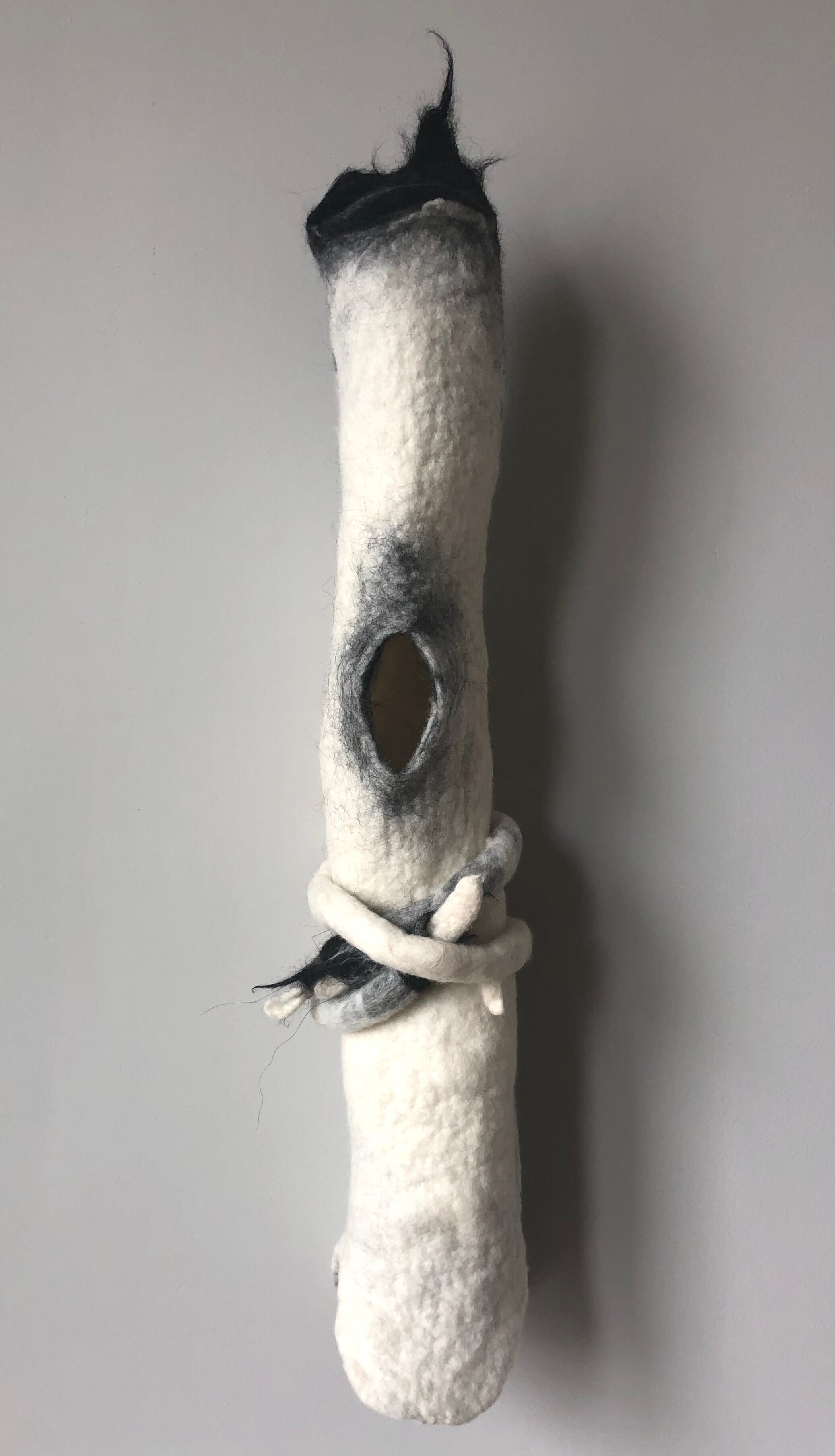 From The Hairy Vessel Series