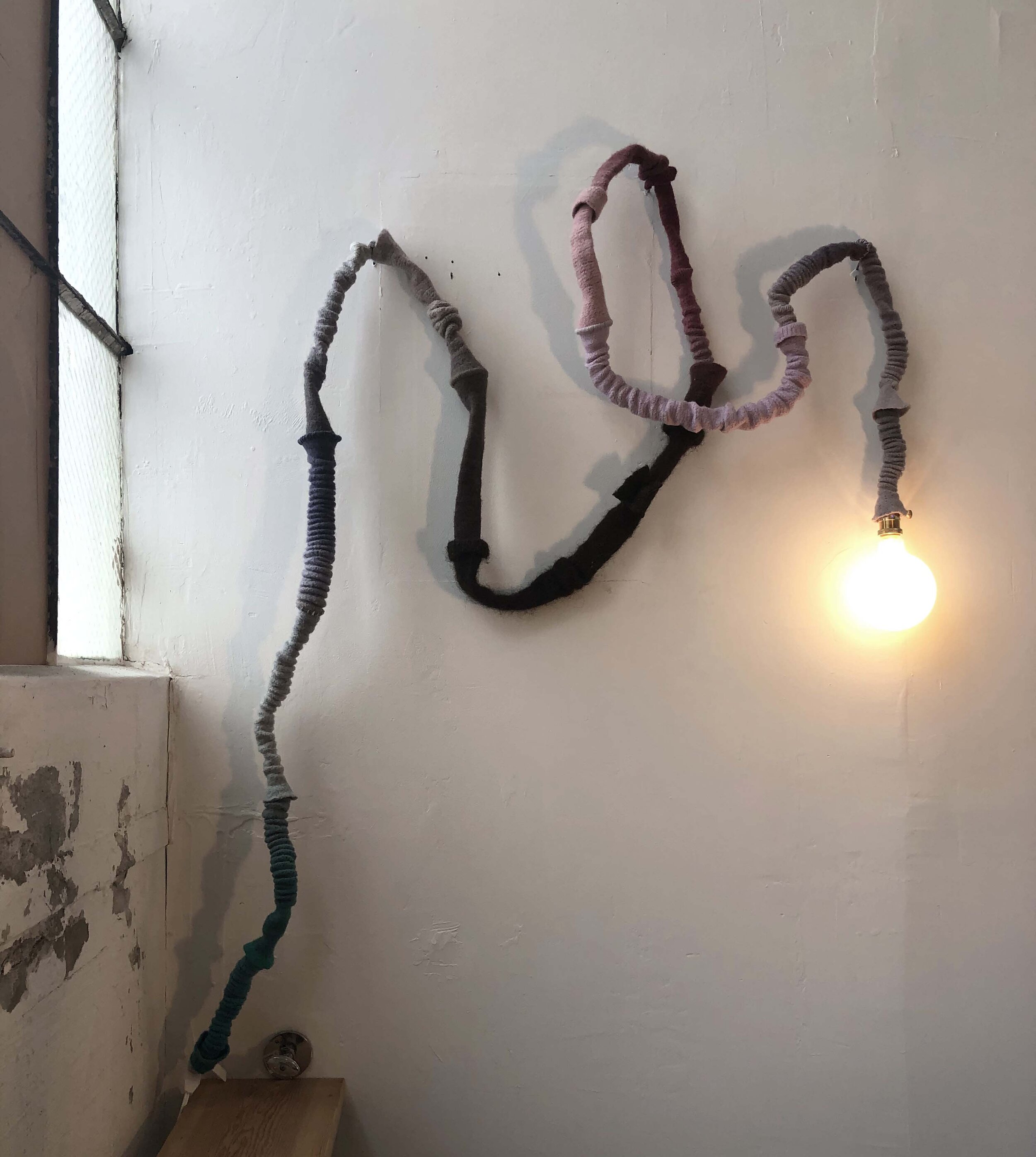 Fiber lights - Wooly Raspberry