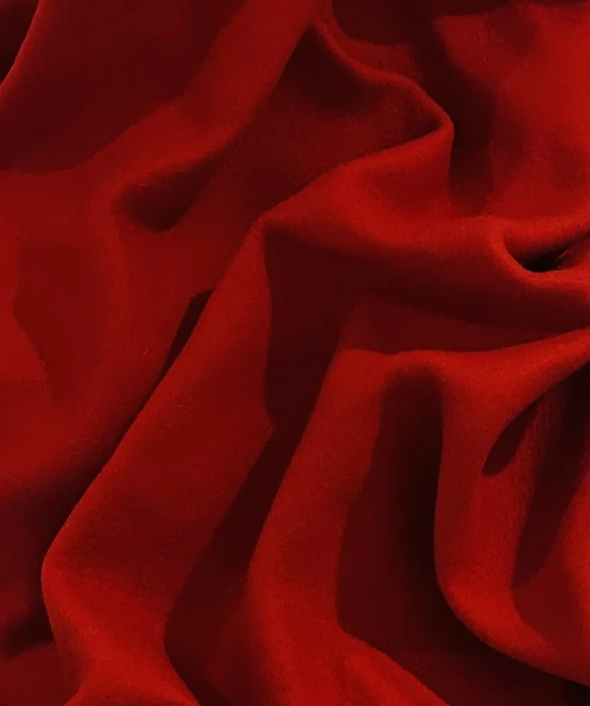 red_detail.jpg