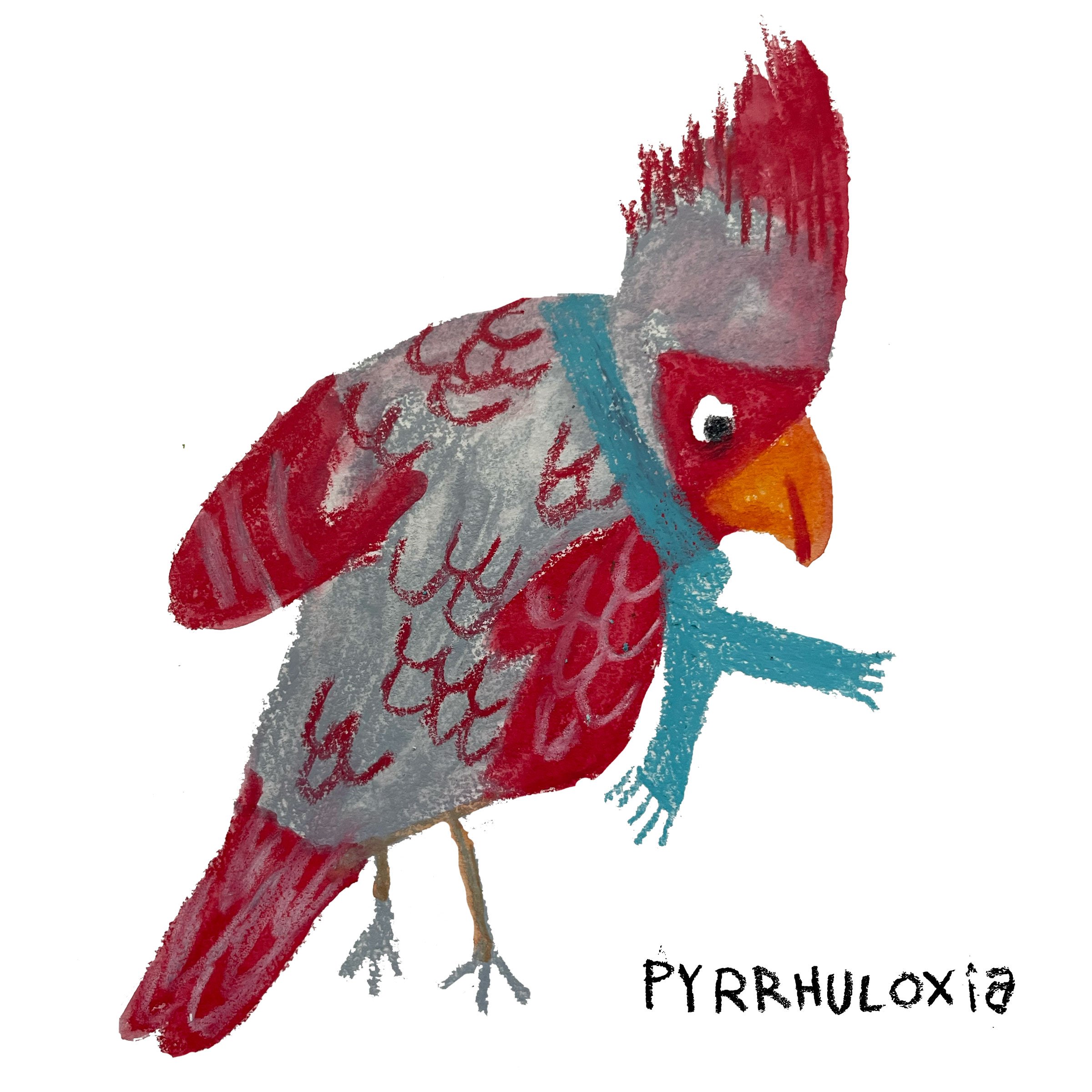 pyrrhuloxia.jpeg