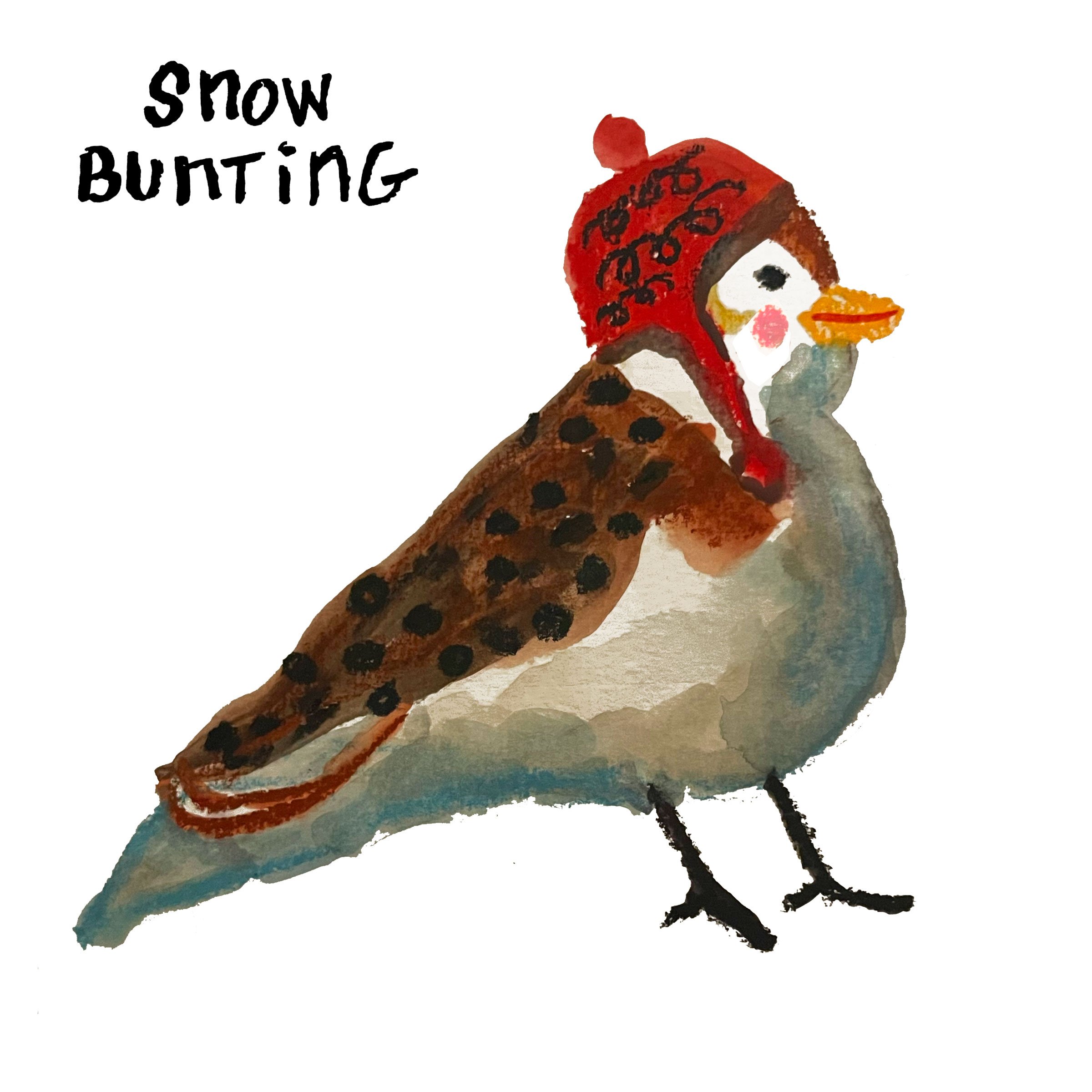 snowbunting.jpeg