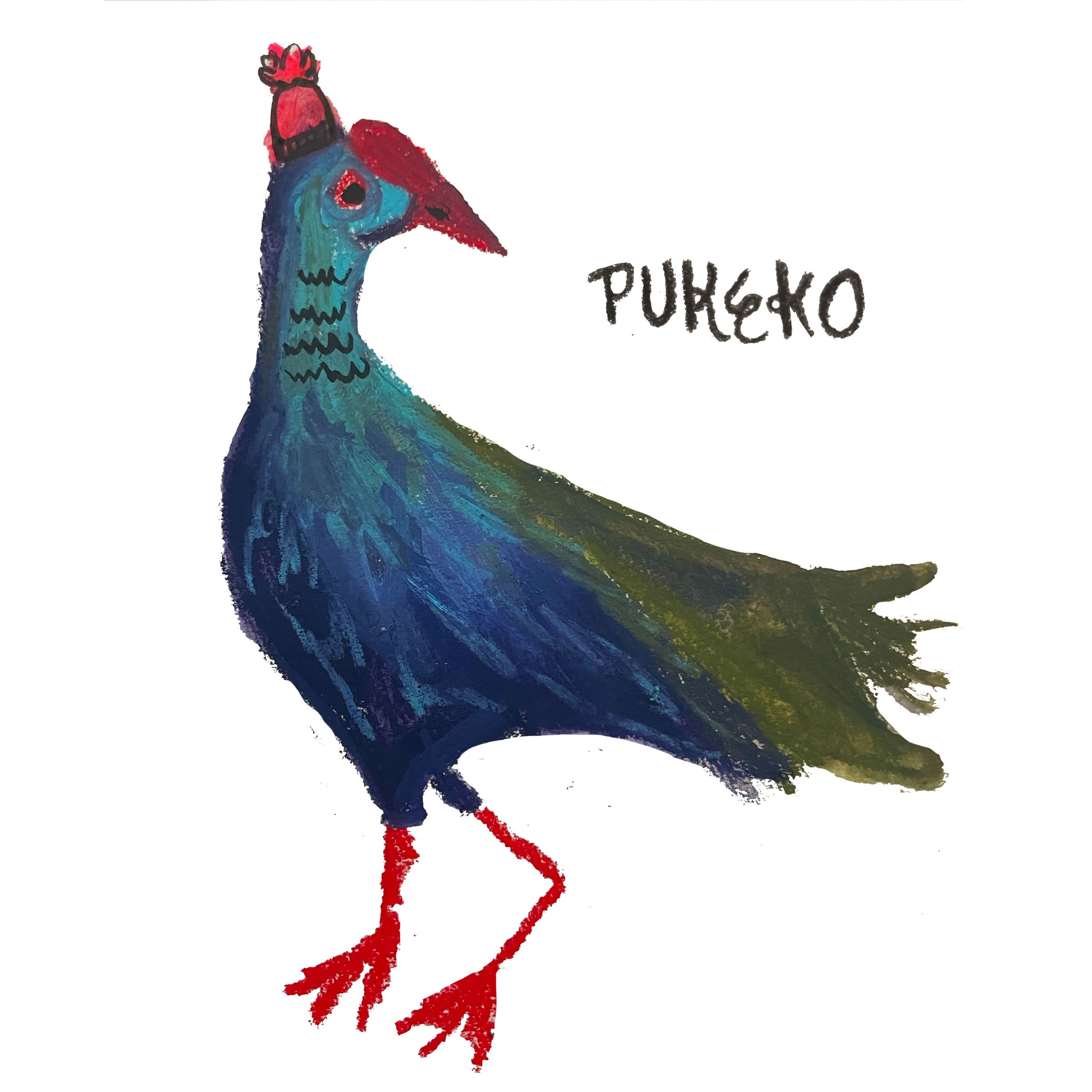 pukeko.jpeg