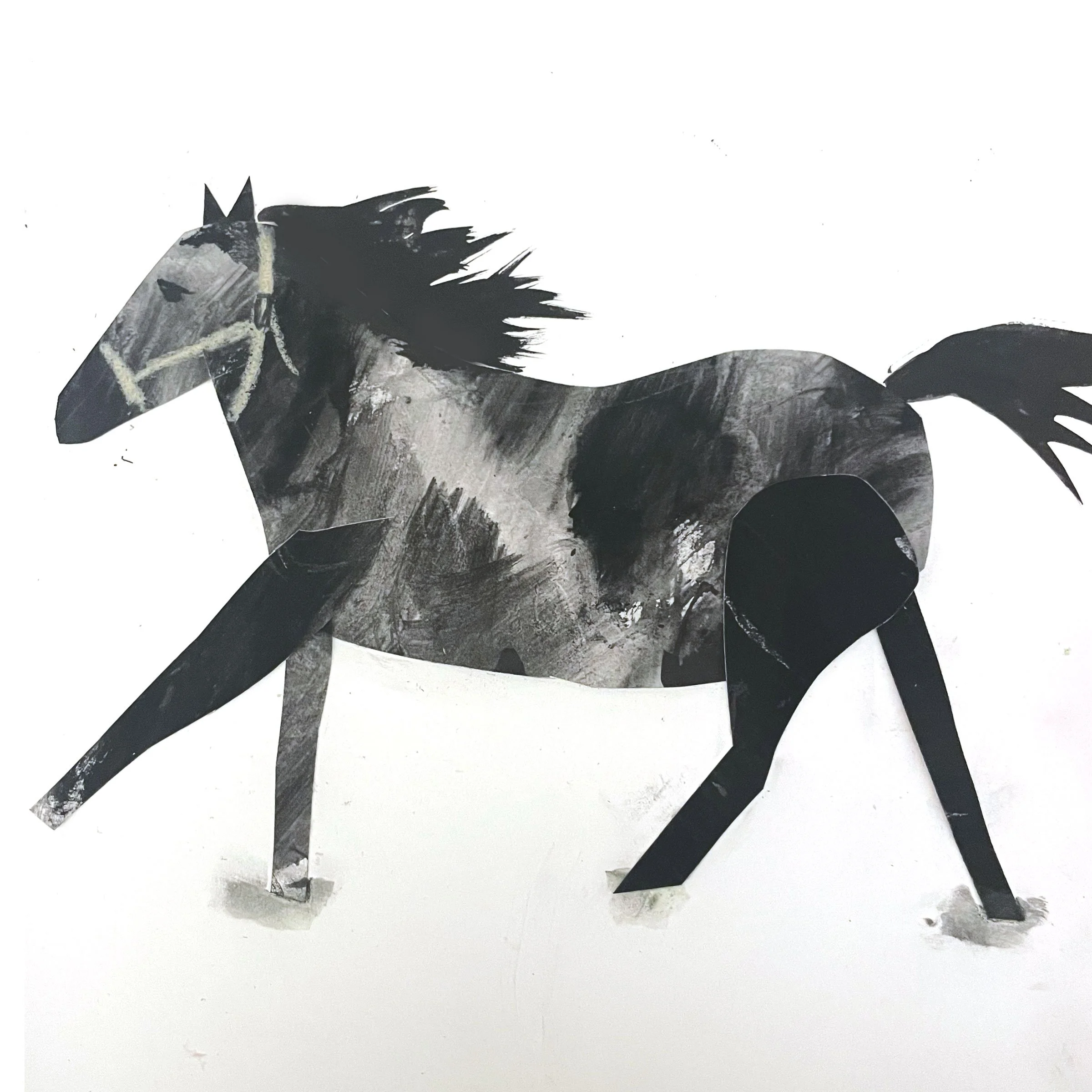 horse4.jpg