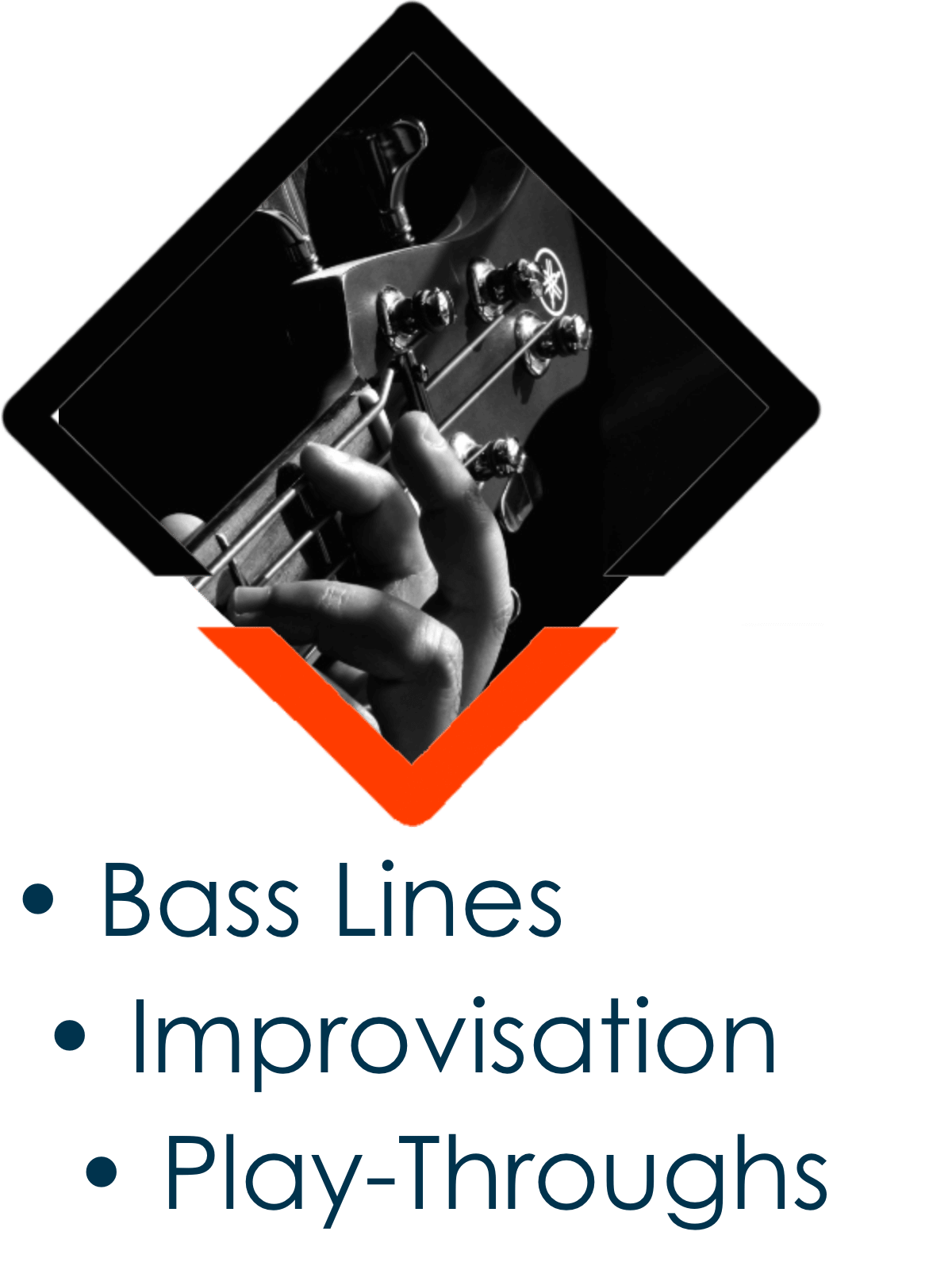 Bass lines@3x.png
