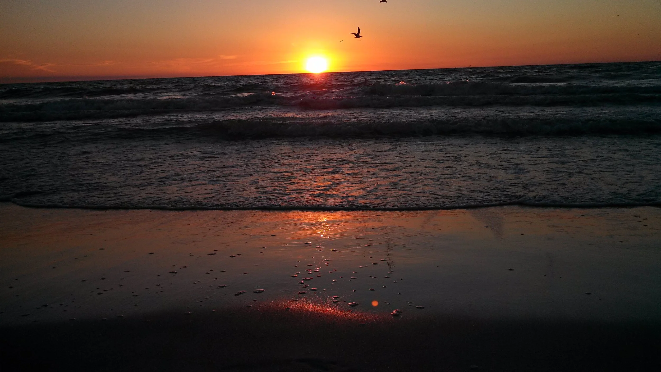 Naples, FL | 26°9′N 81°48′W