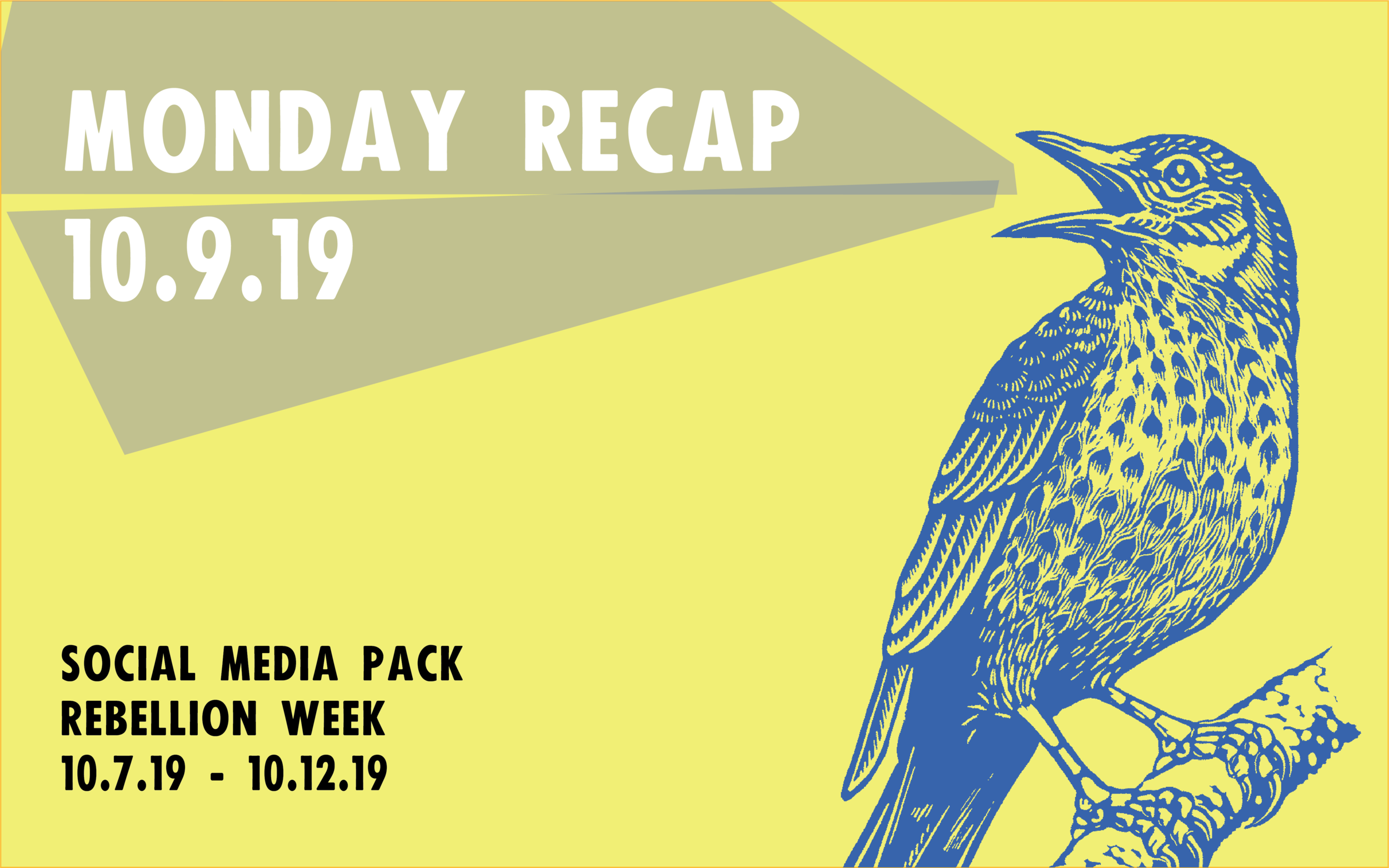 monday_cover.png