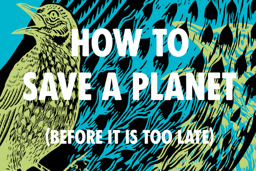 How to Save a Planet (Before It Is Too Late) 