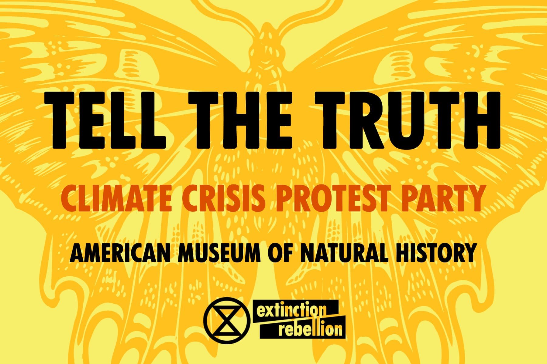 American Museum of Natural History (AMNH) Action 