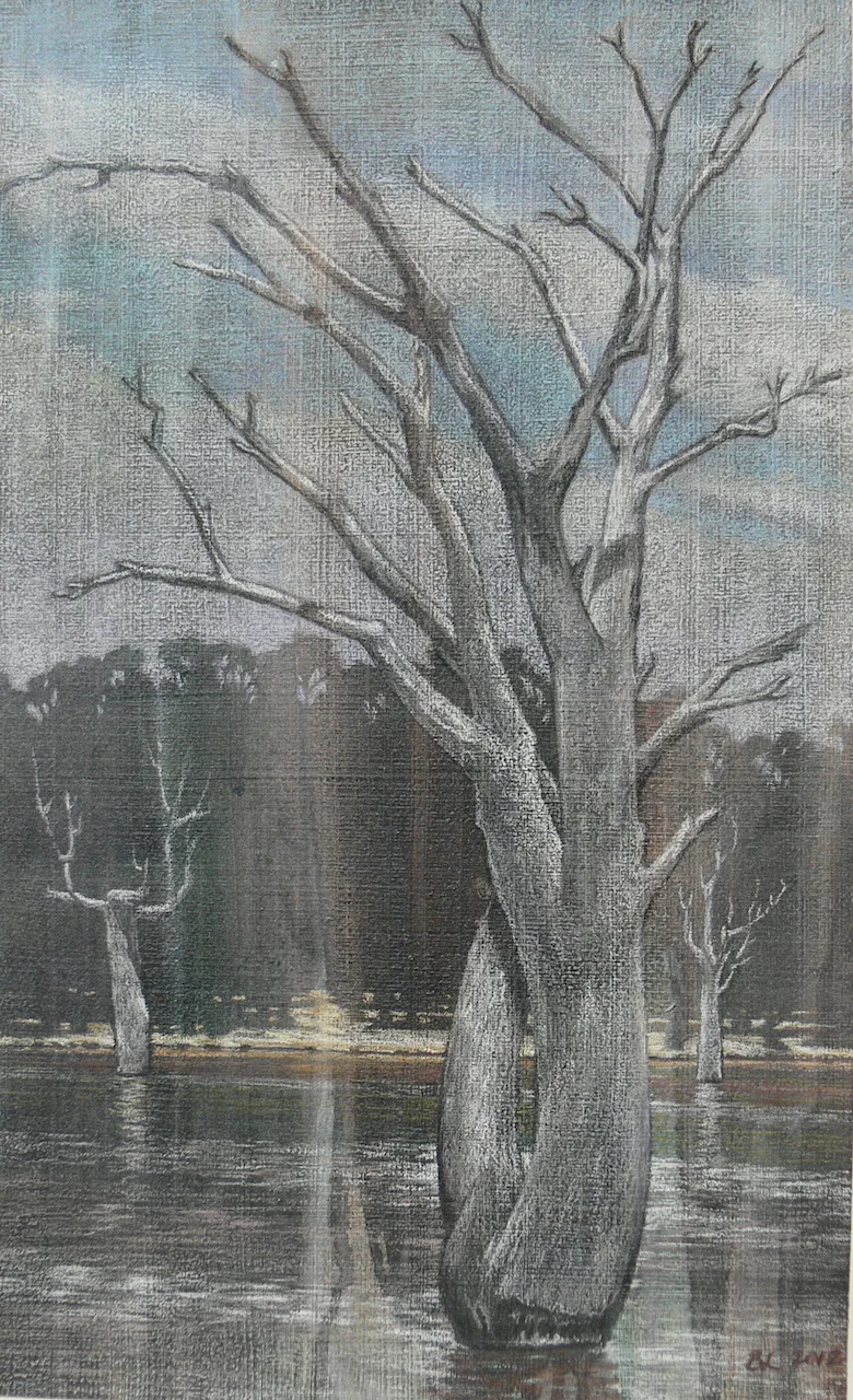 Dead tree, Horsham 1