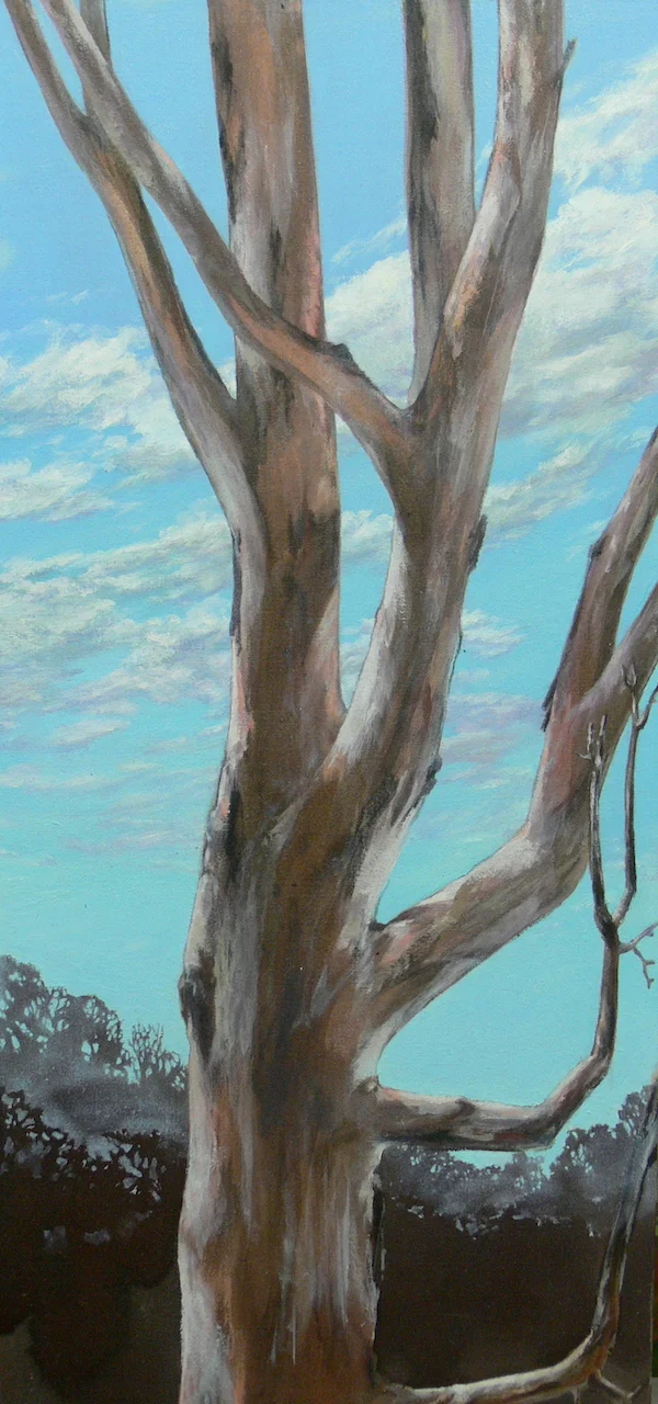 Shade of Eucalypt