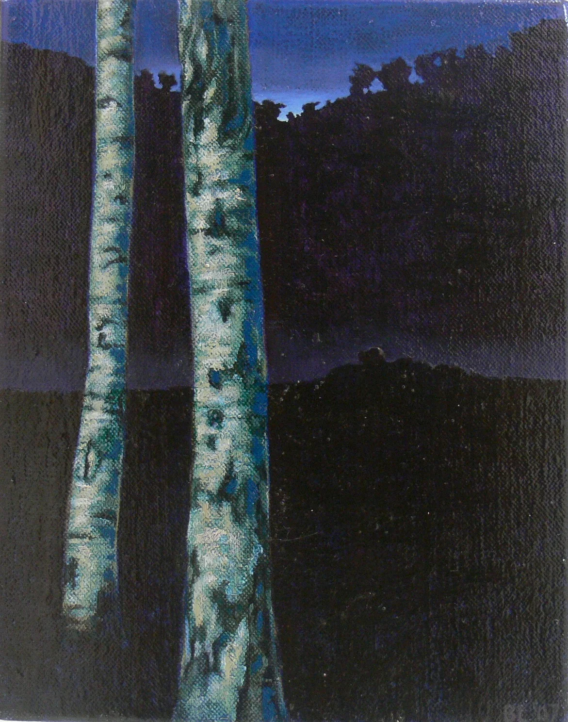 Silver Birch 3