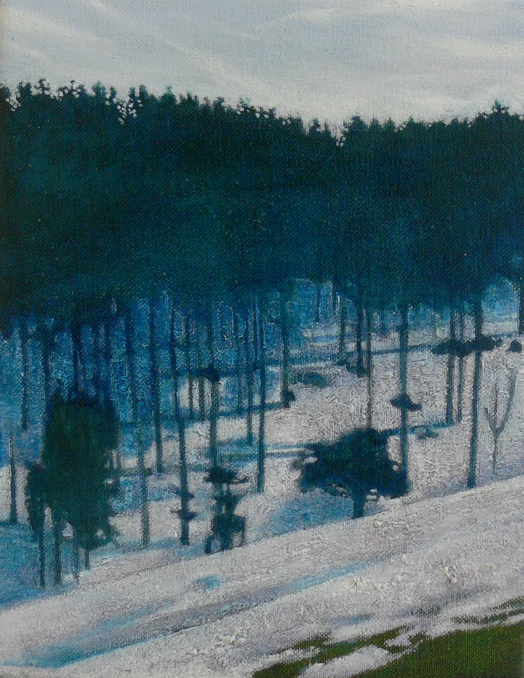 The first snow