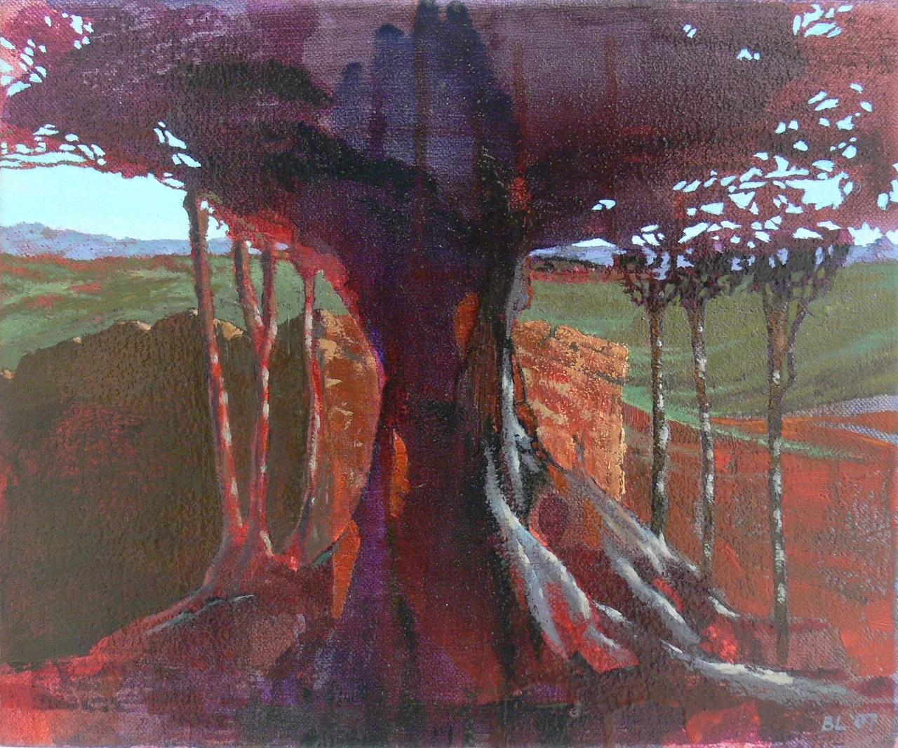 The shadow of the fig