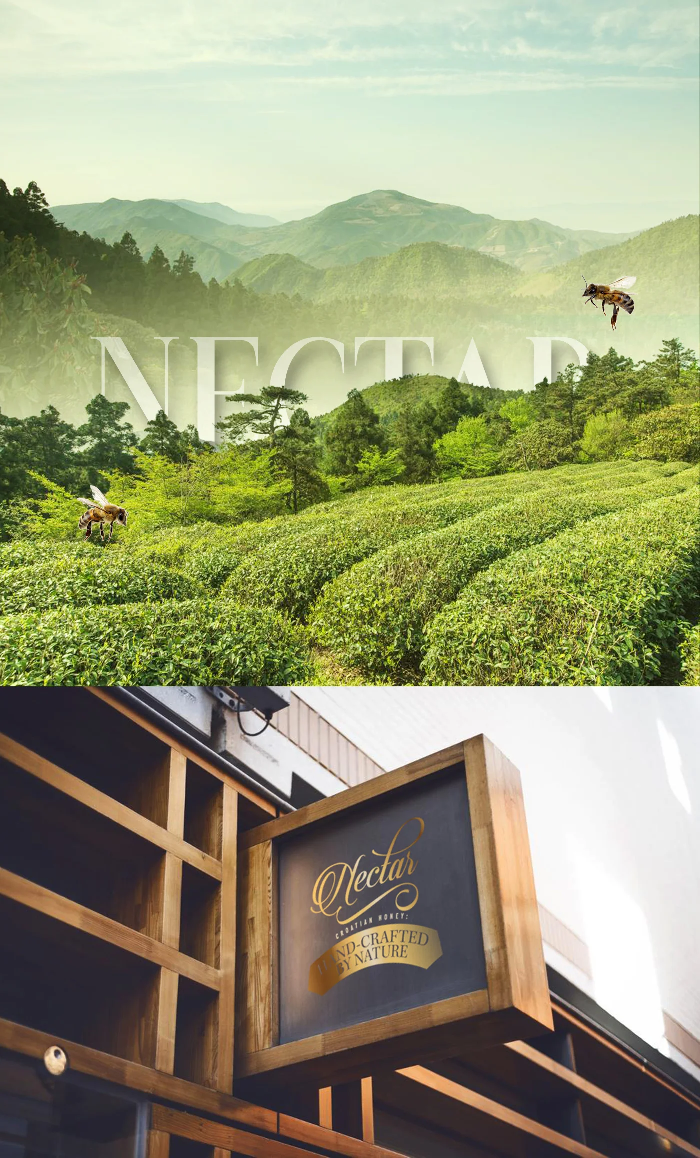 Nectar_honey_packaging_branding_01.jpg