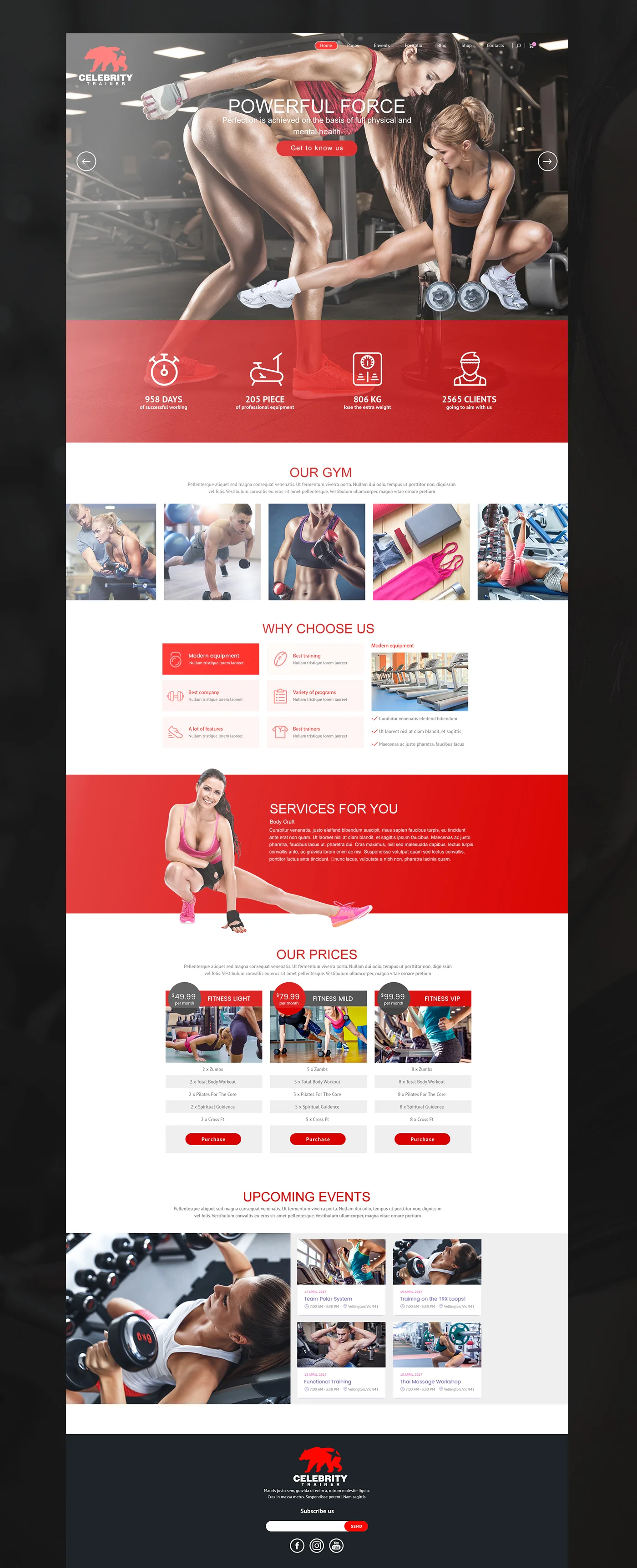 Celebrity_Trainer_Branding_Design_05.jpg